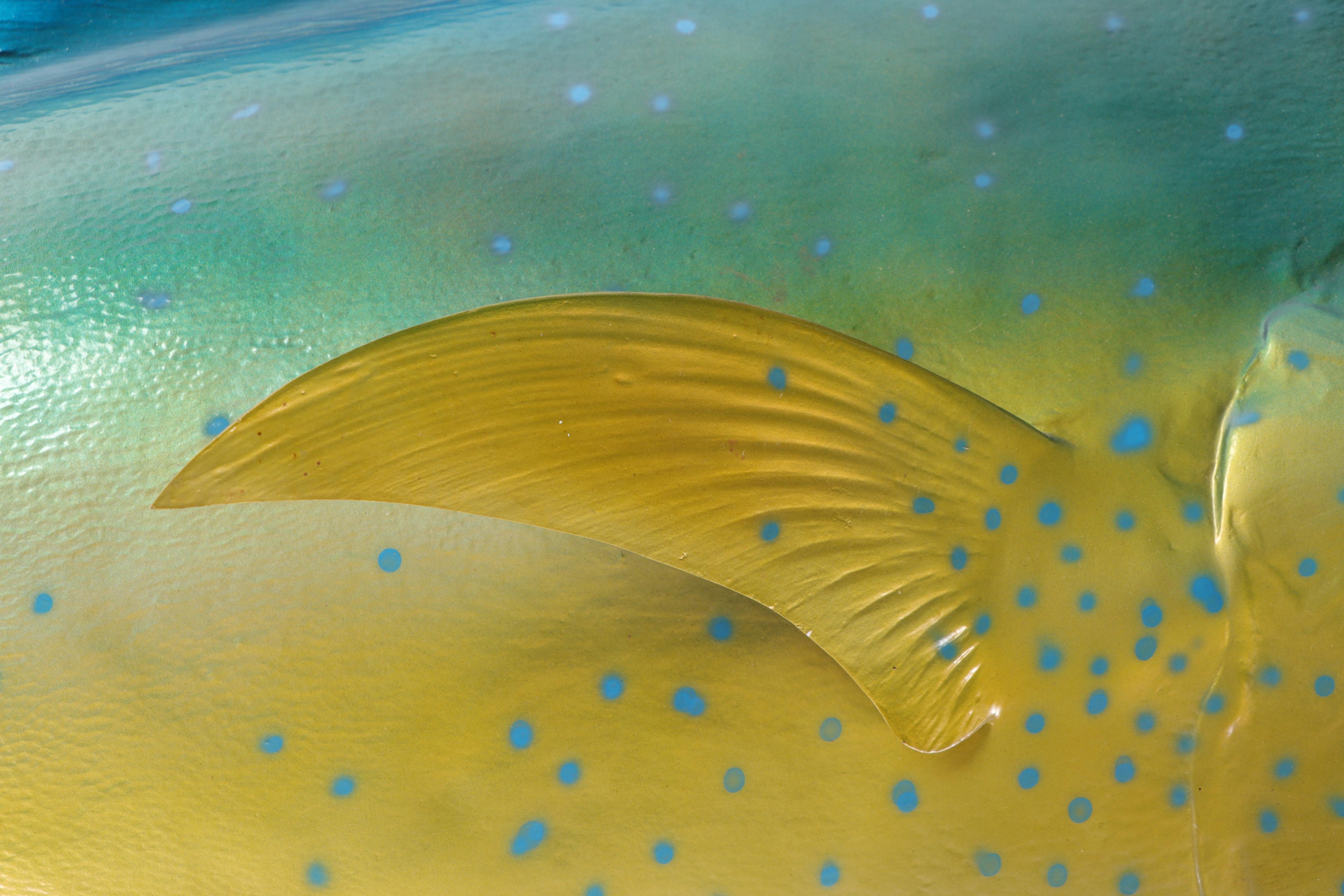 Mahi-Mahi Dolphinfish Taxidermy Mount Replica