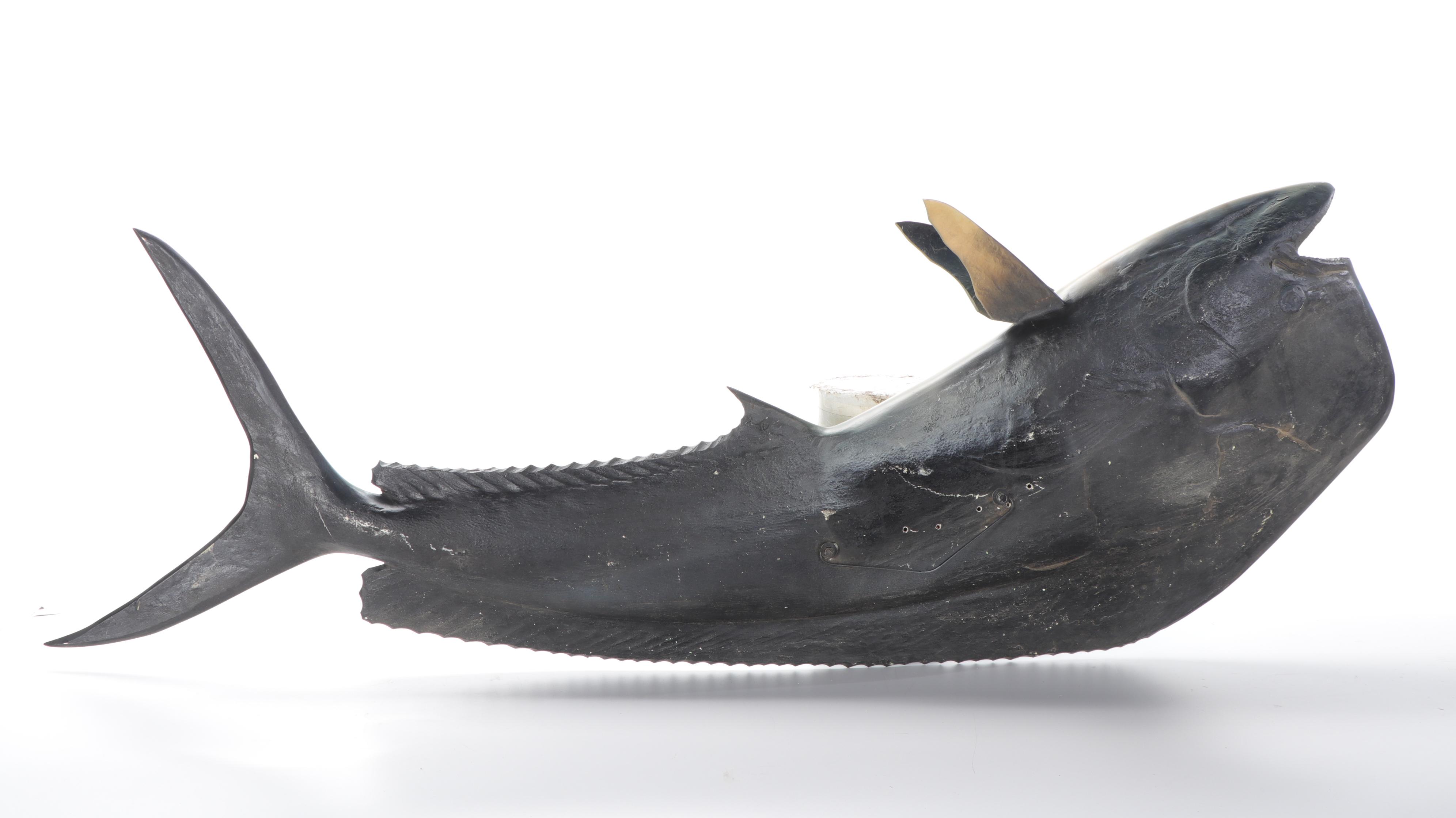 Mahi-Mahi Dolphinfish Taxidermy Mount Replica