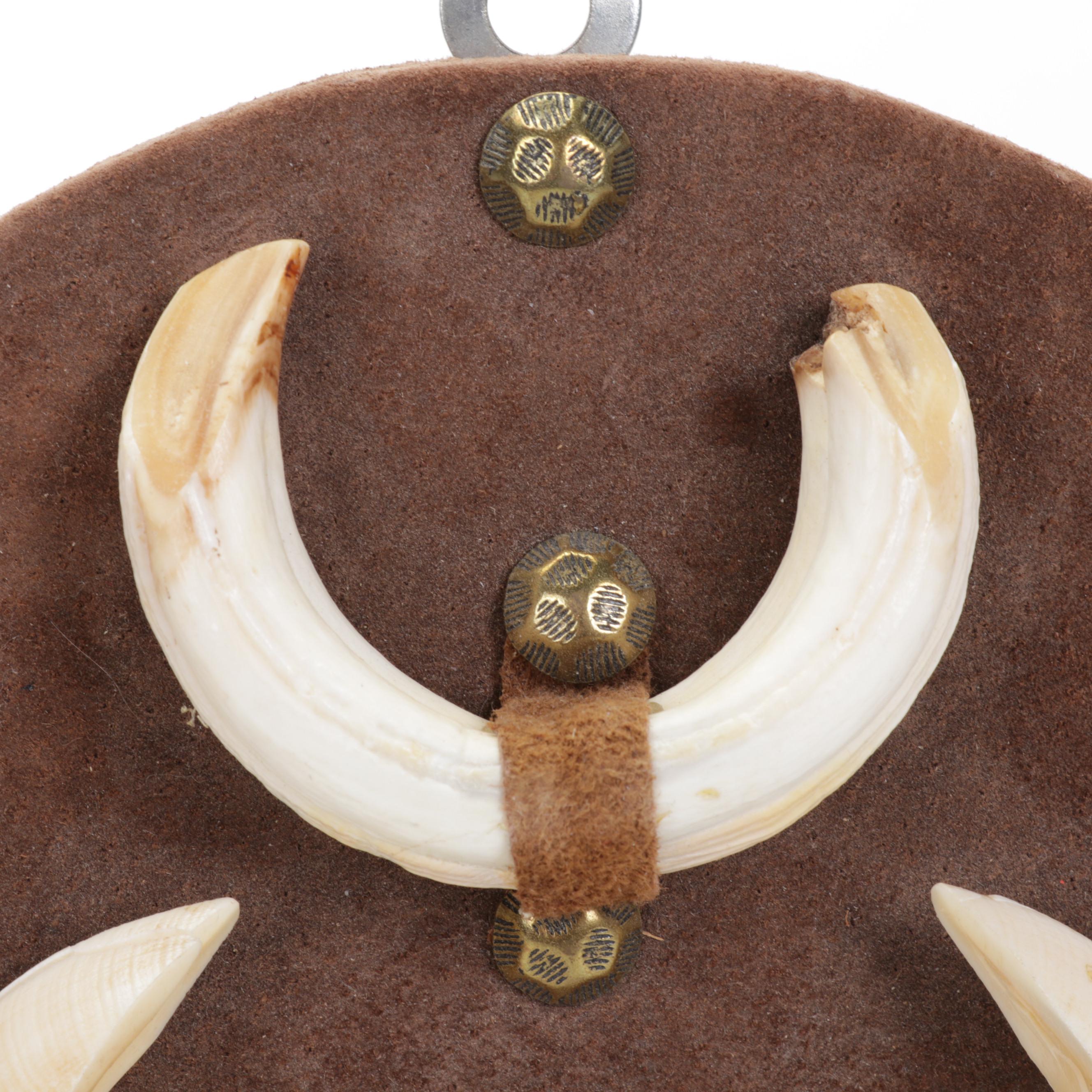 Mounted Wild Boar Tusk Set