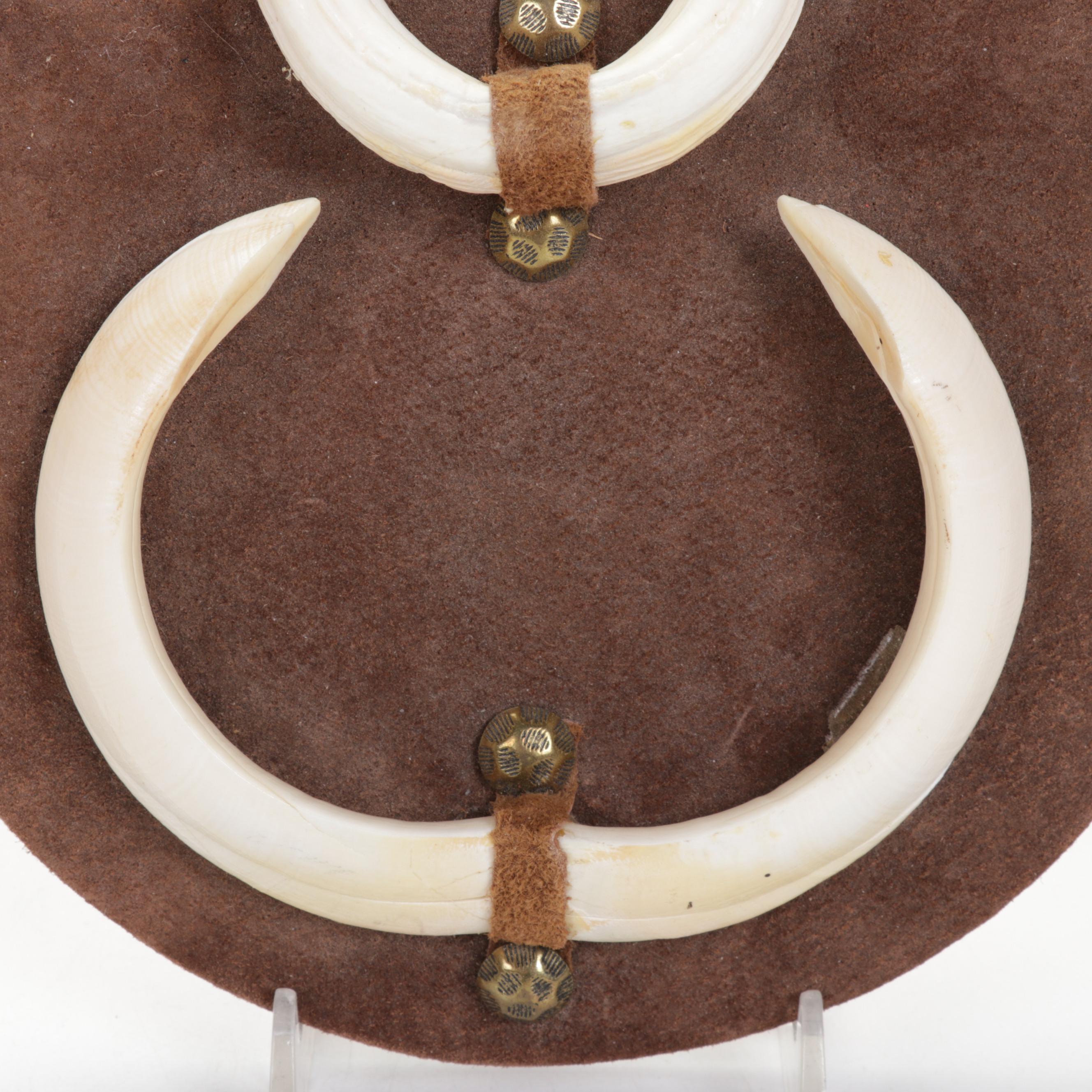 Mounted Wild Boar Tusk Set