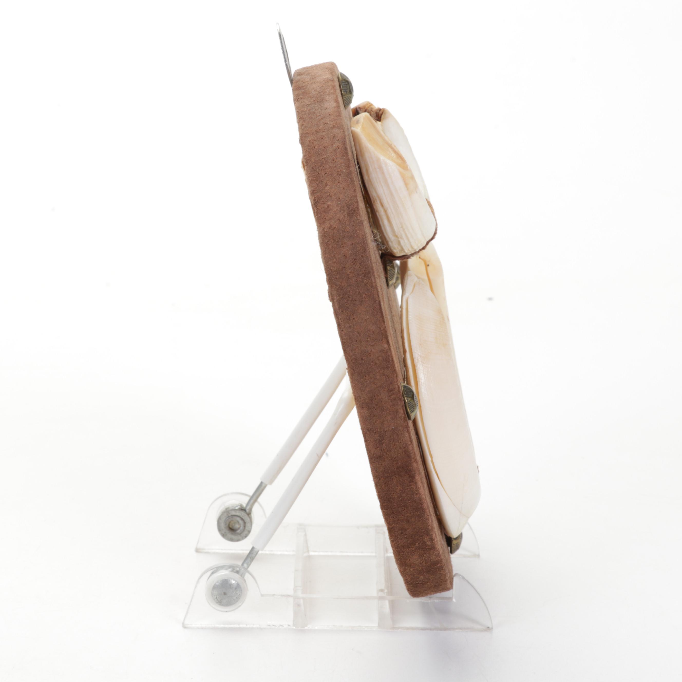 Mounted Wild Boar Tusk Set