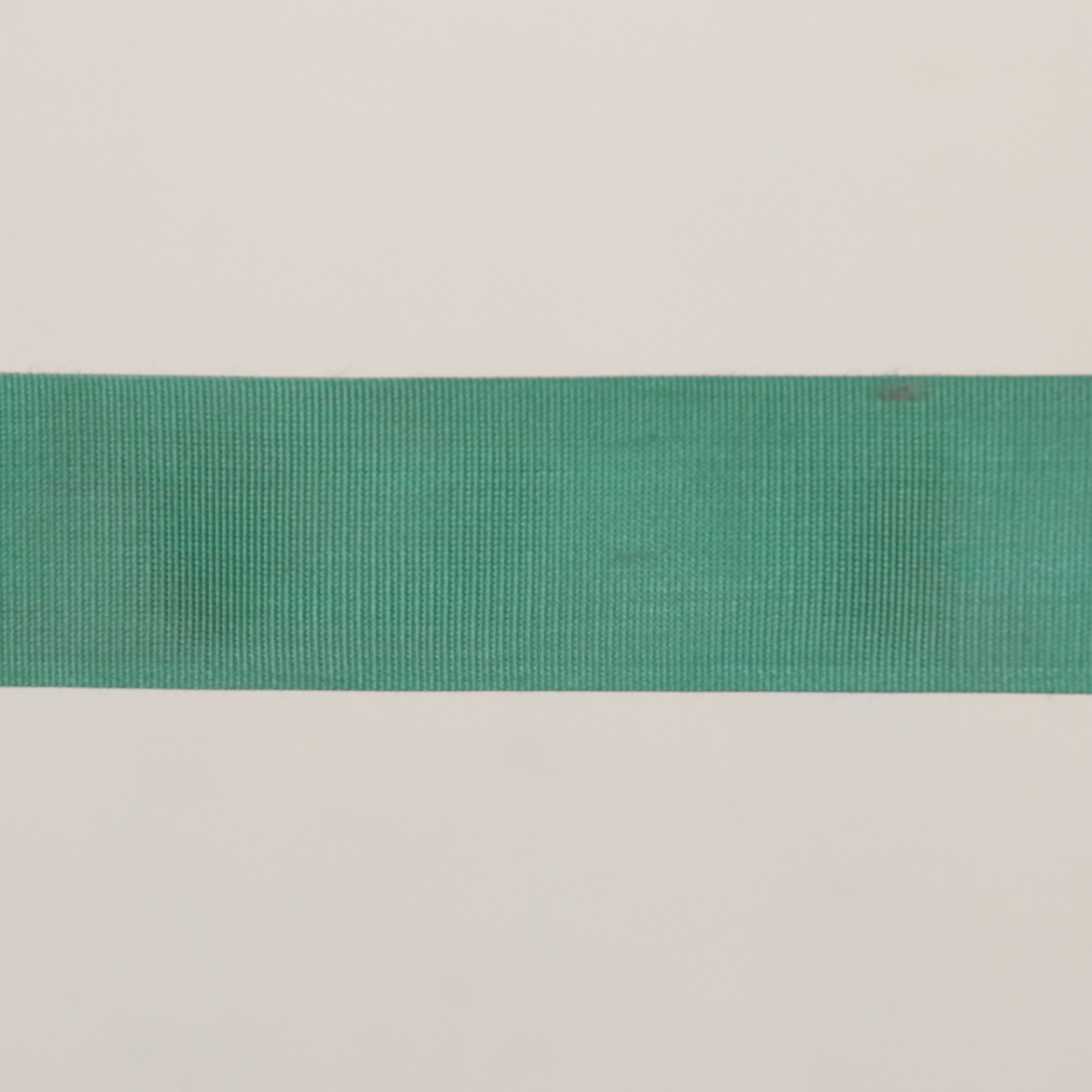 Beltrac Retractable Belt Stanchions with Green and Black Belts