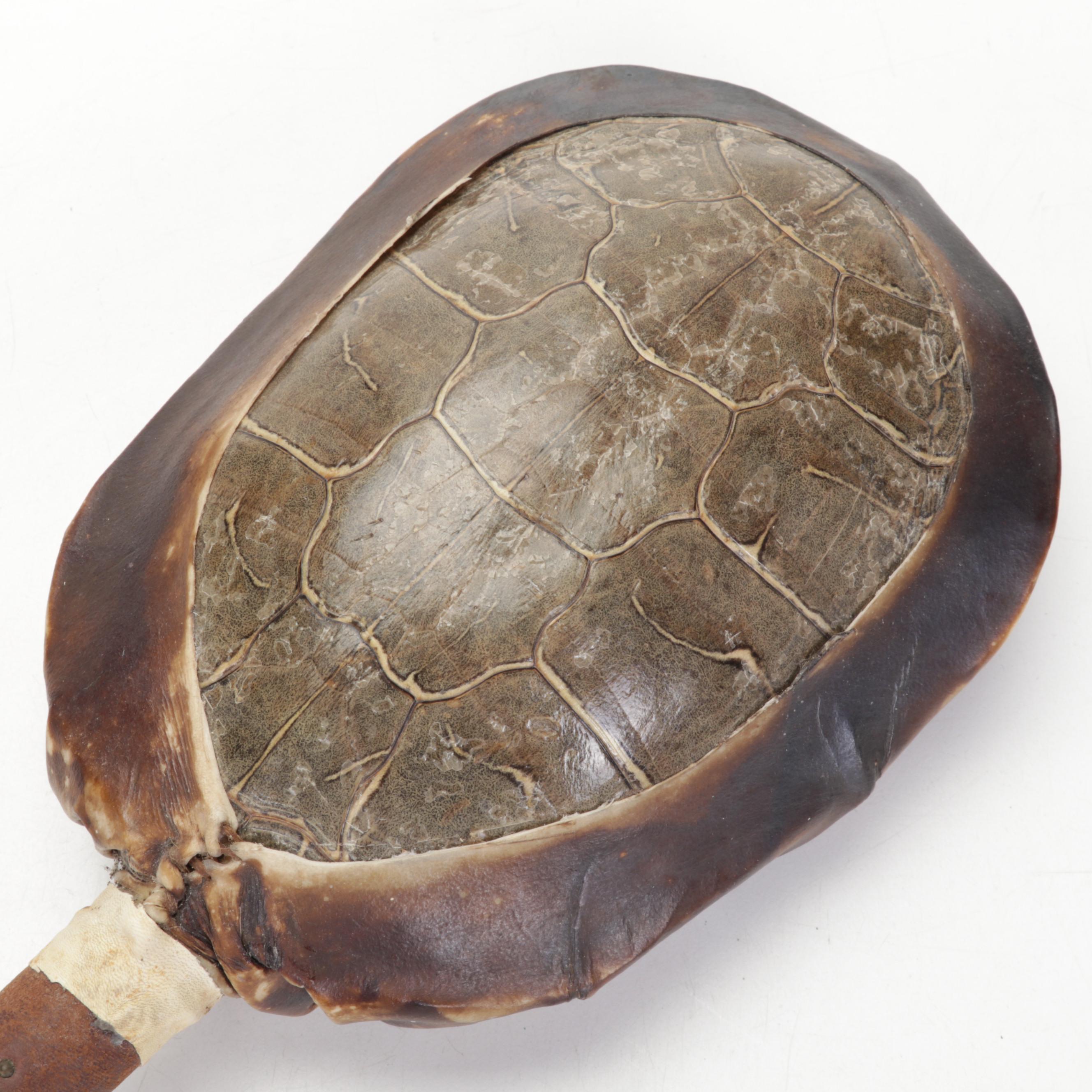 Common Snapping Turtle Shell Rattle and Knapped Stone Knife With Antler Handle