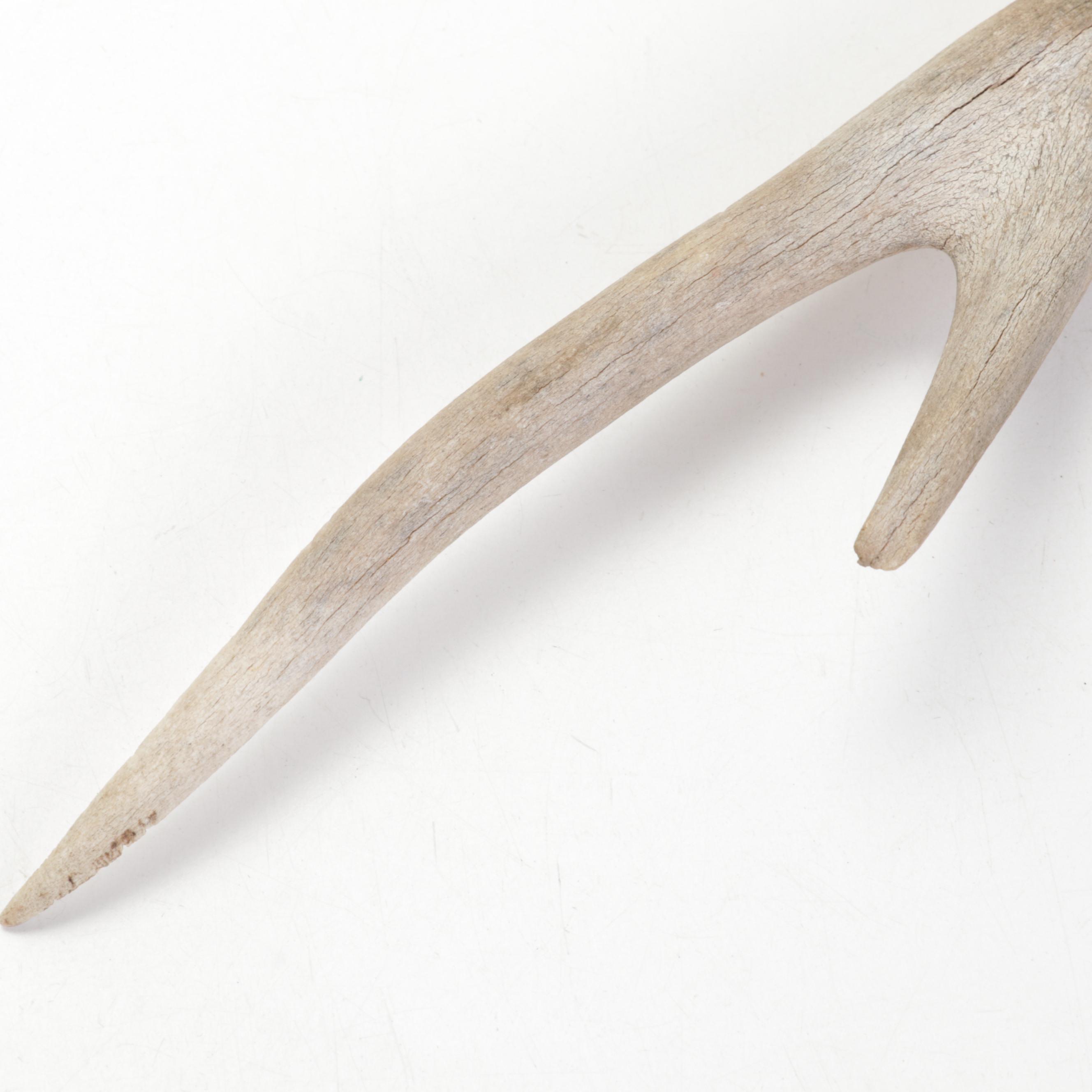 Common Snapping Turtle Shell Rattle and Knapped Stone Knife With Antler Handle