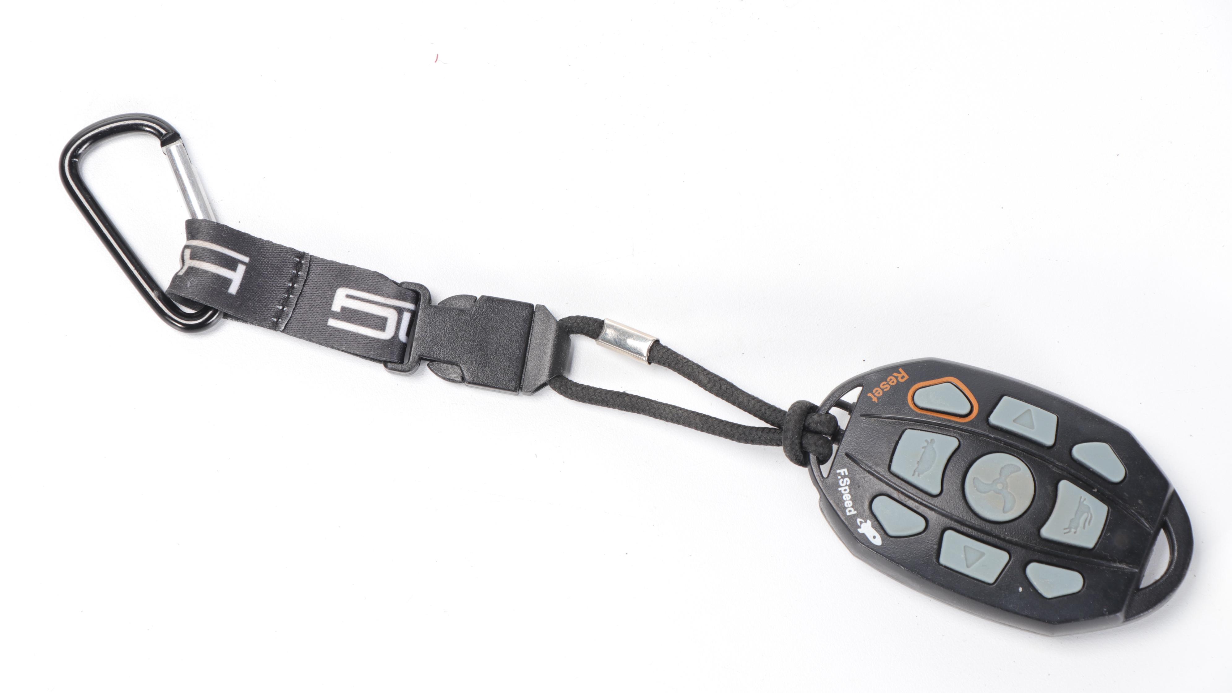 Haswing Transom Trolling Motor