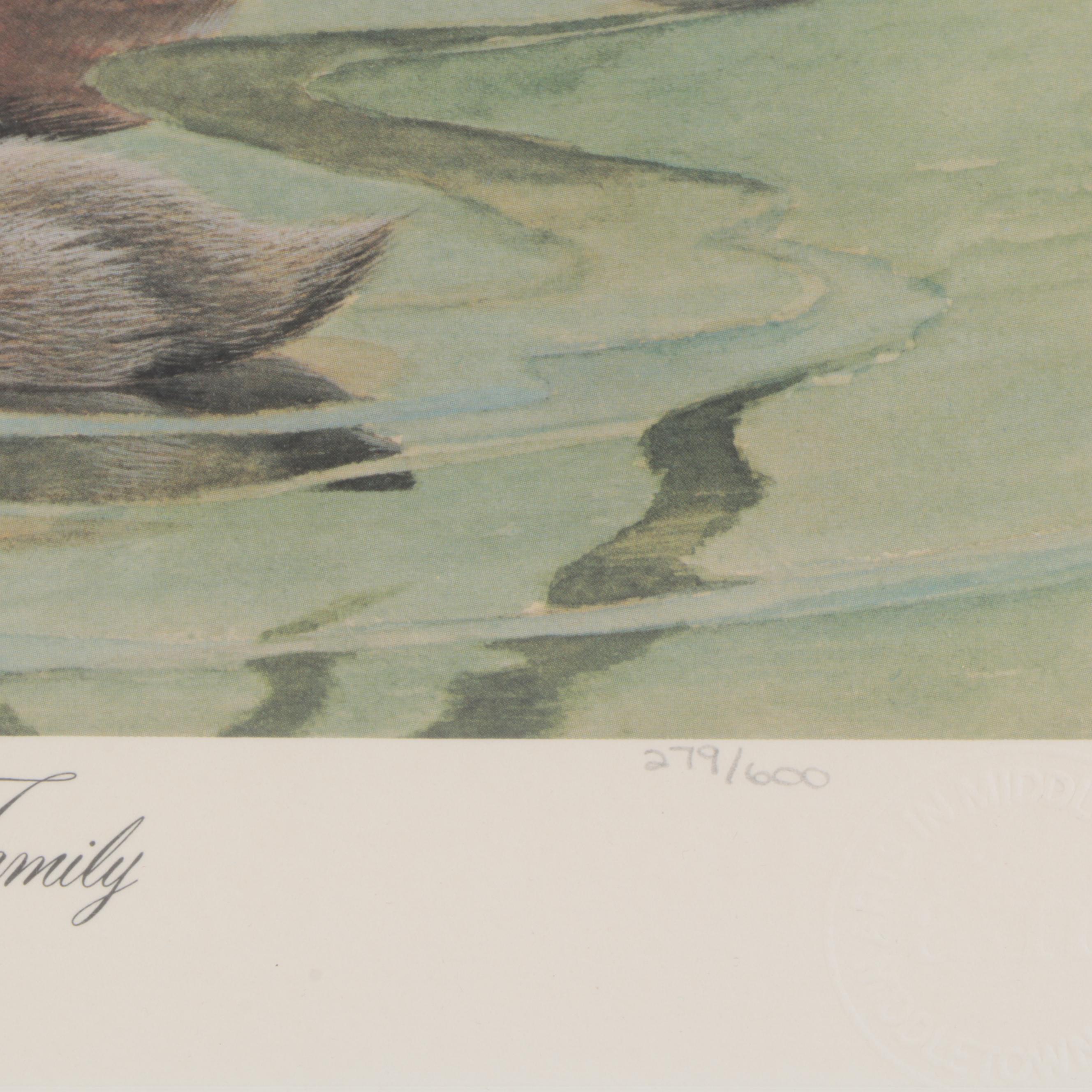 John Ruthven Offset Lithograph "Ruddy Duck Family," Late 20th Century