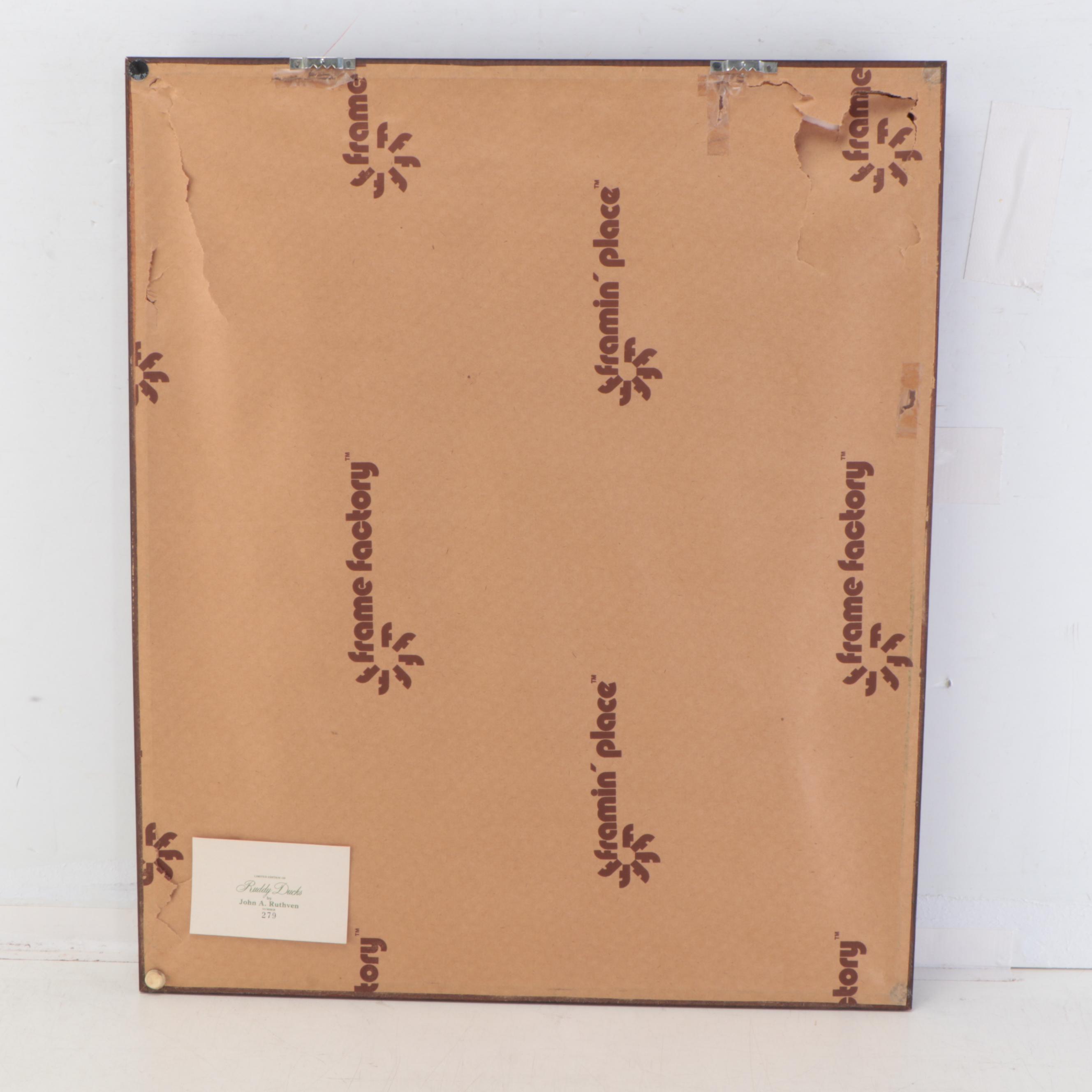 John Ruthven Offset Lithograph "Ruddy Duck Family," Late 20th Century