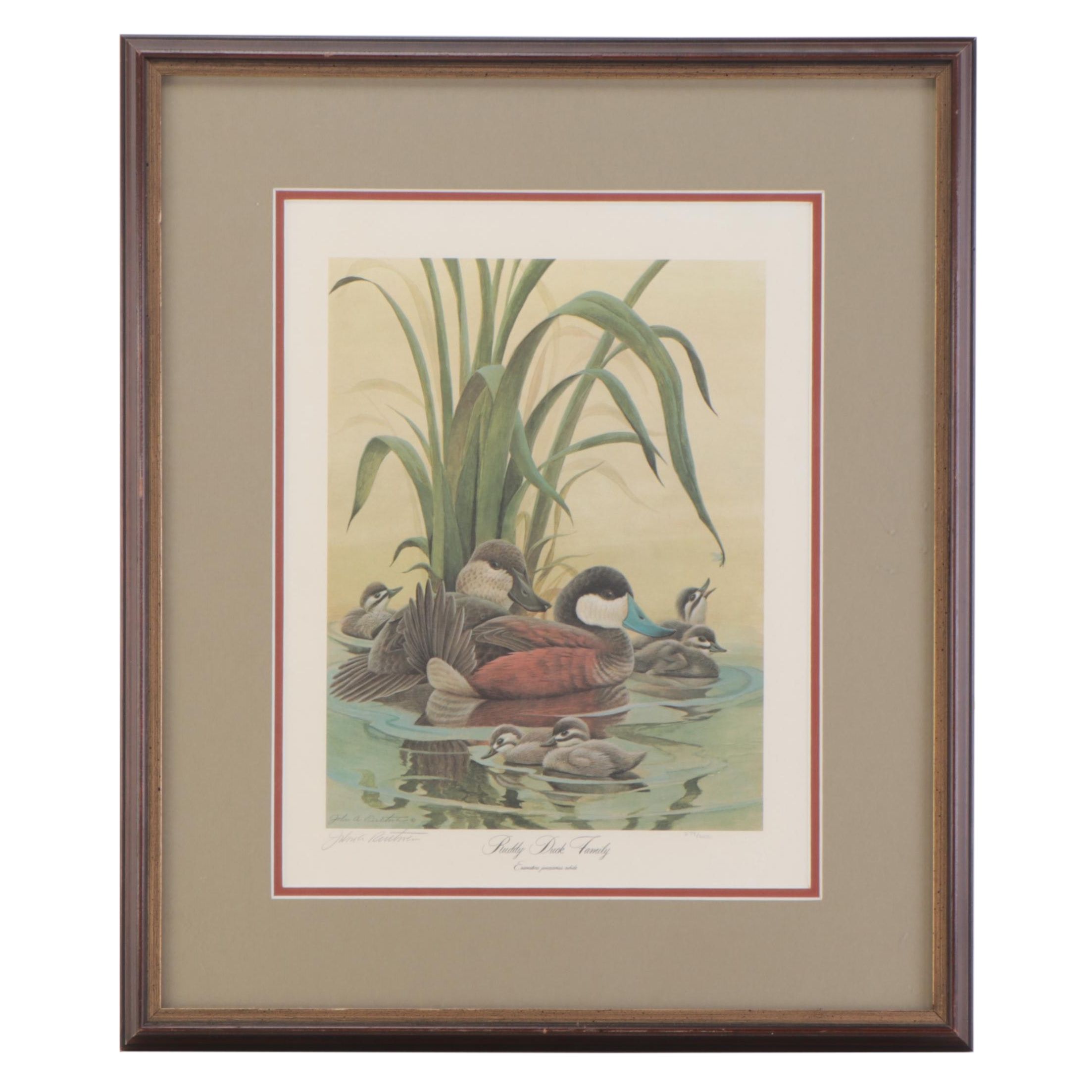 John Ruthven Offset Lithograph "Ruddy Duck Family," Late 20th Century