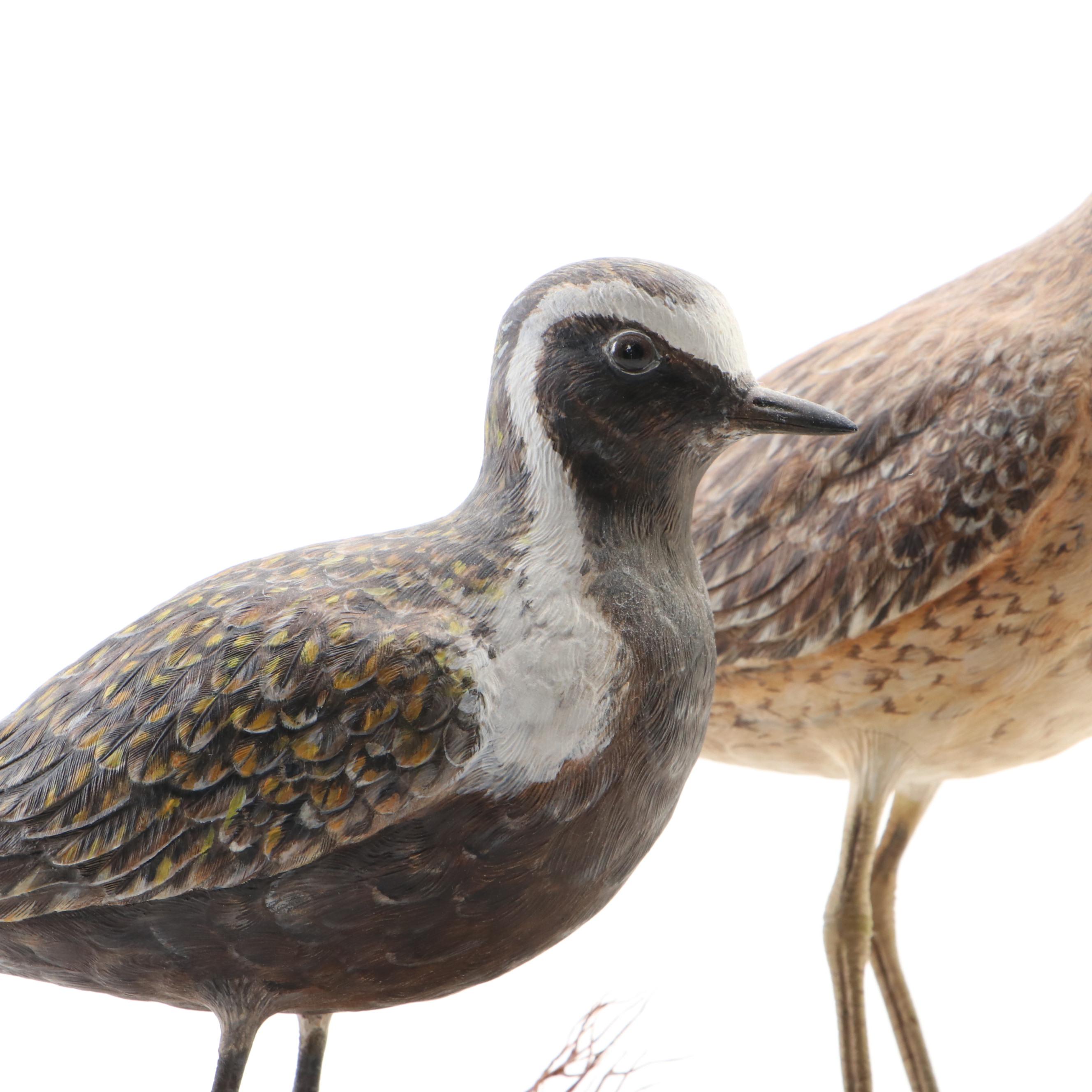 Wild Feathers Hand-Carved Shore Birds on Base