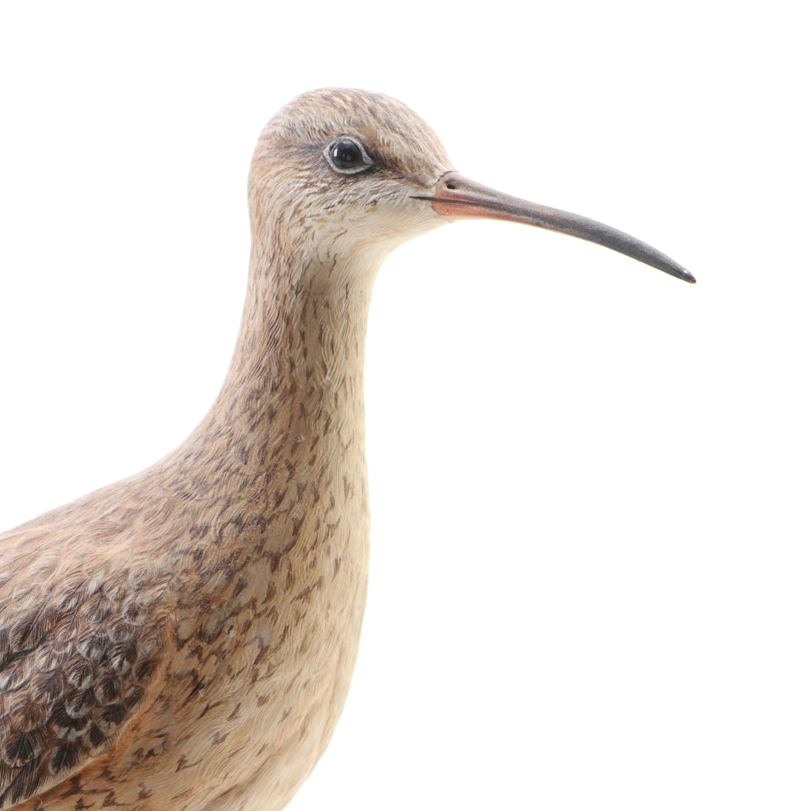 Wild Feathers Hand-Carved Shore Birds on Base