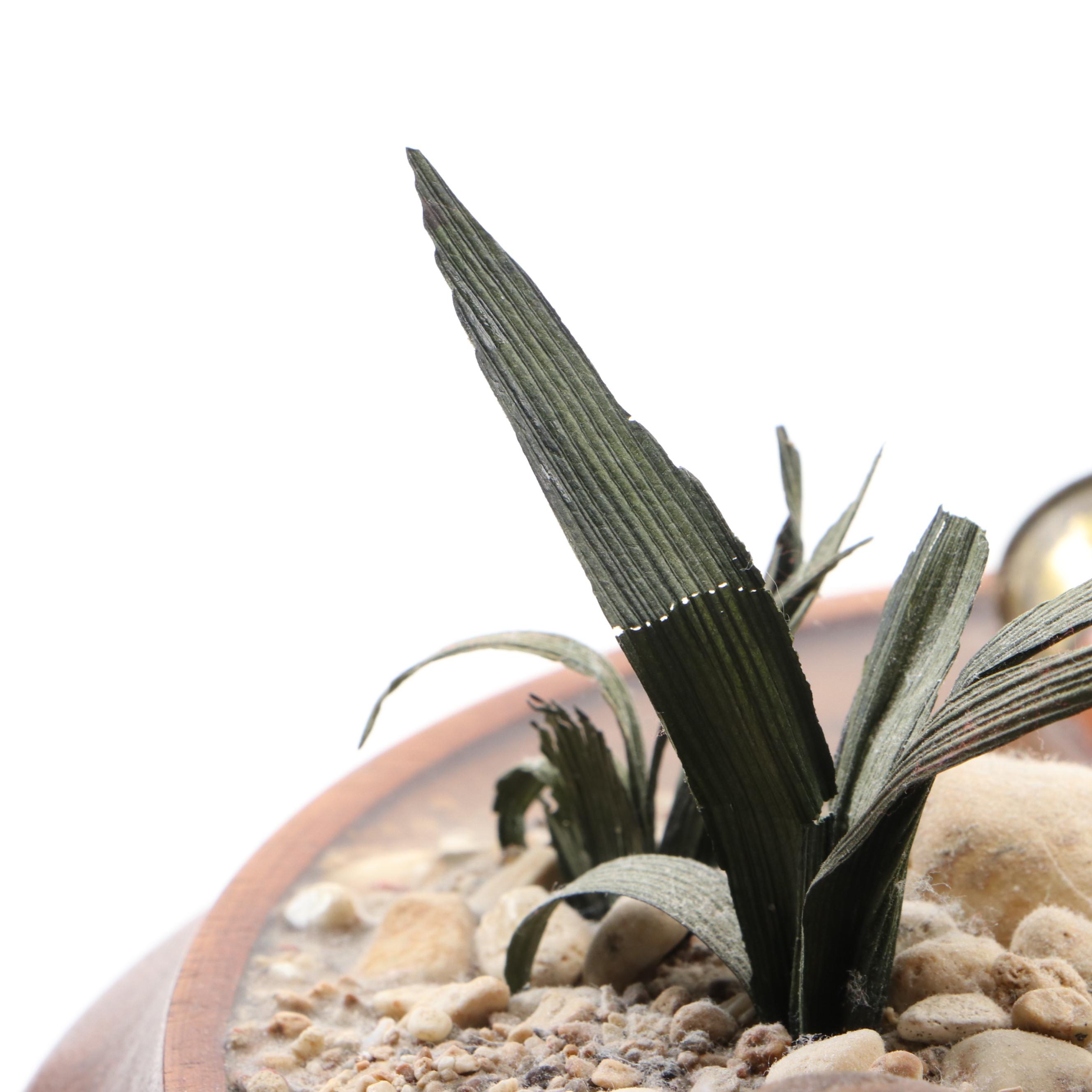 Wild Feathers Hand-Carved Shore Birds on Base