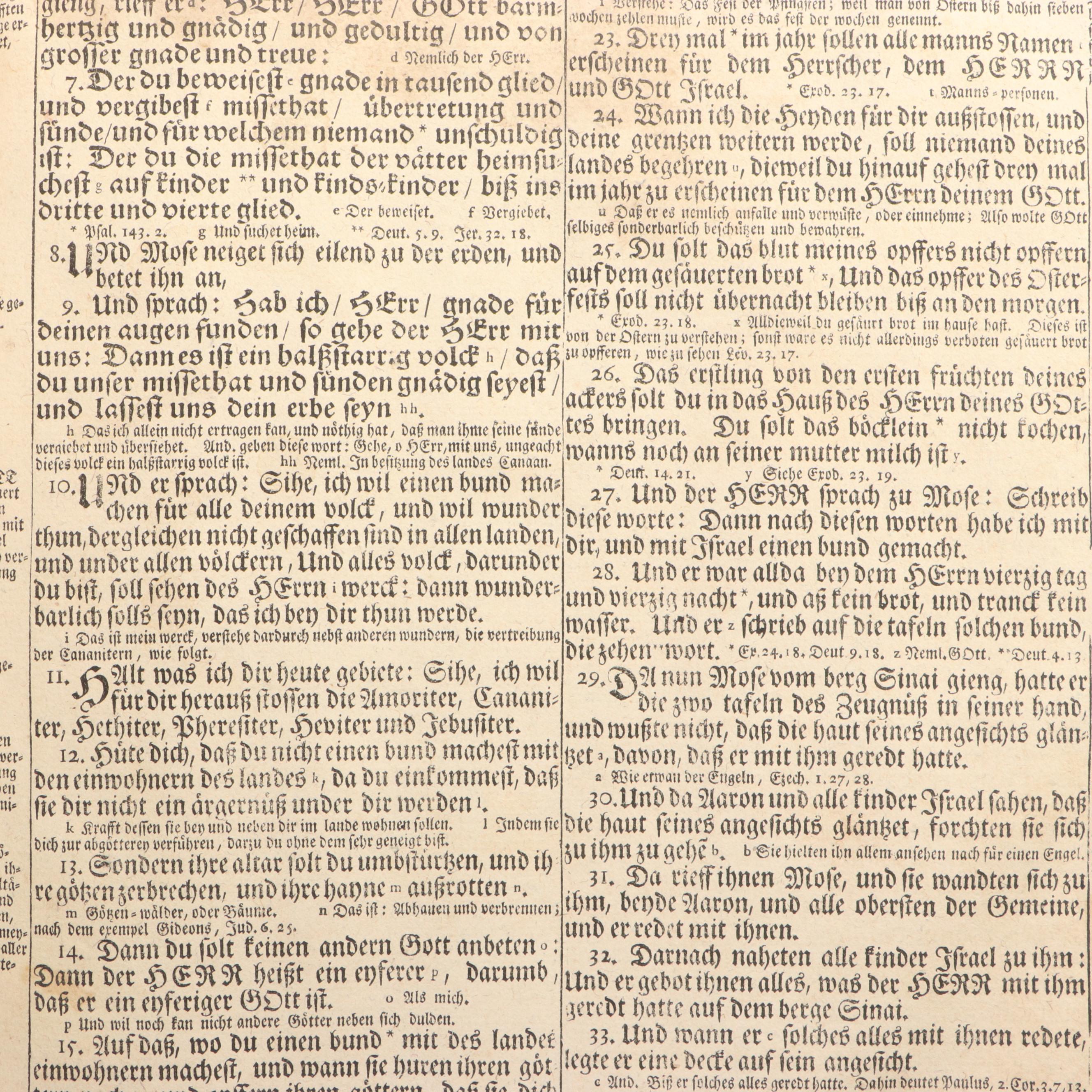 German Language Martin Luther Bible, circa 1720