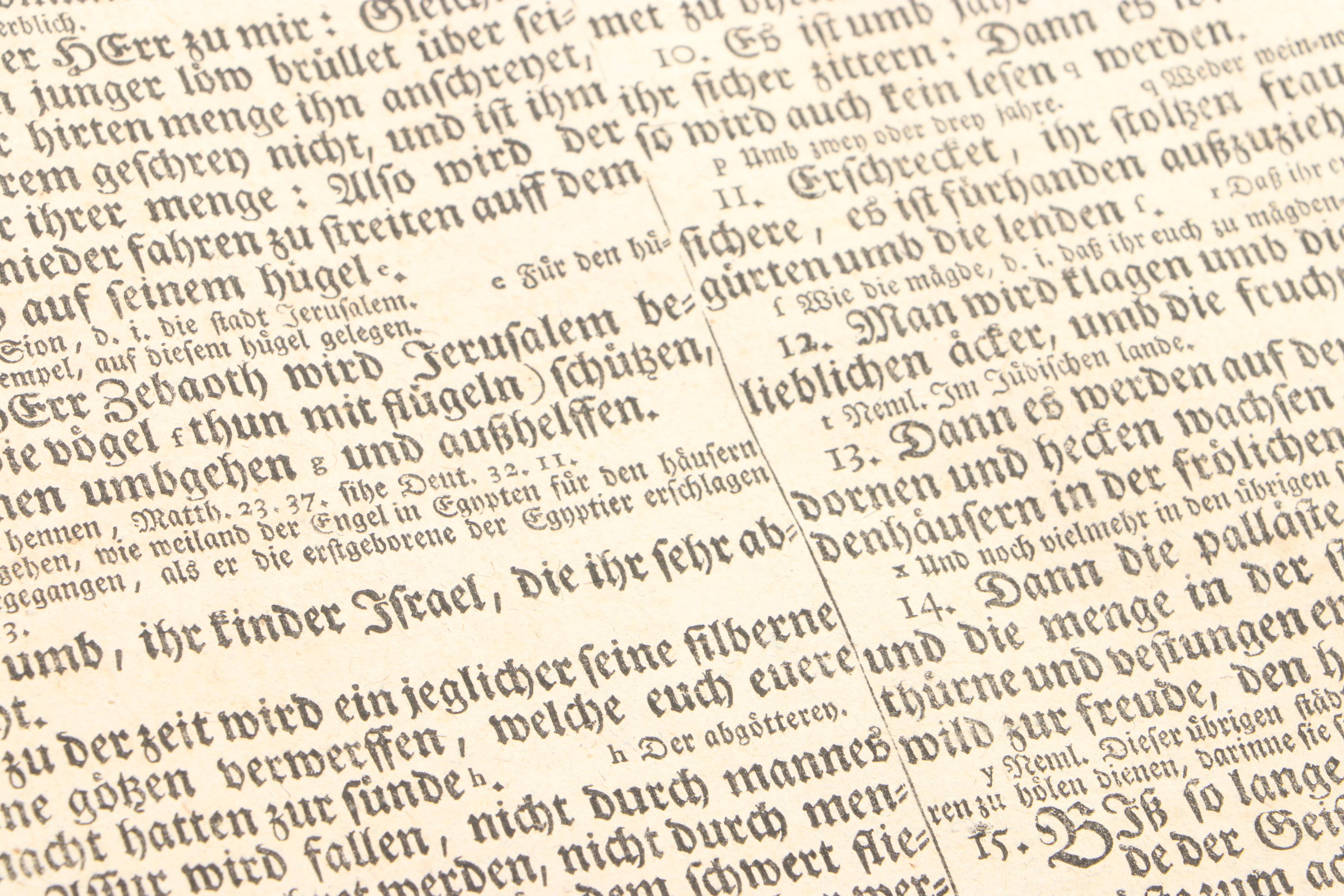 German Language Martin Luther Bible, circa 1720