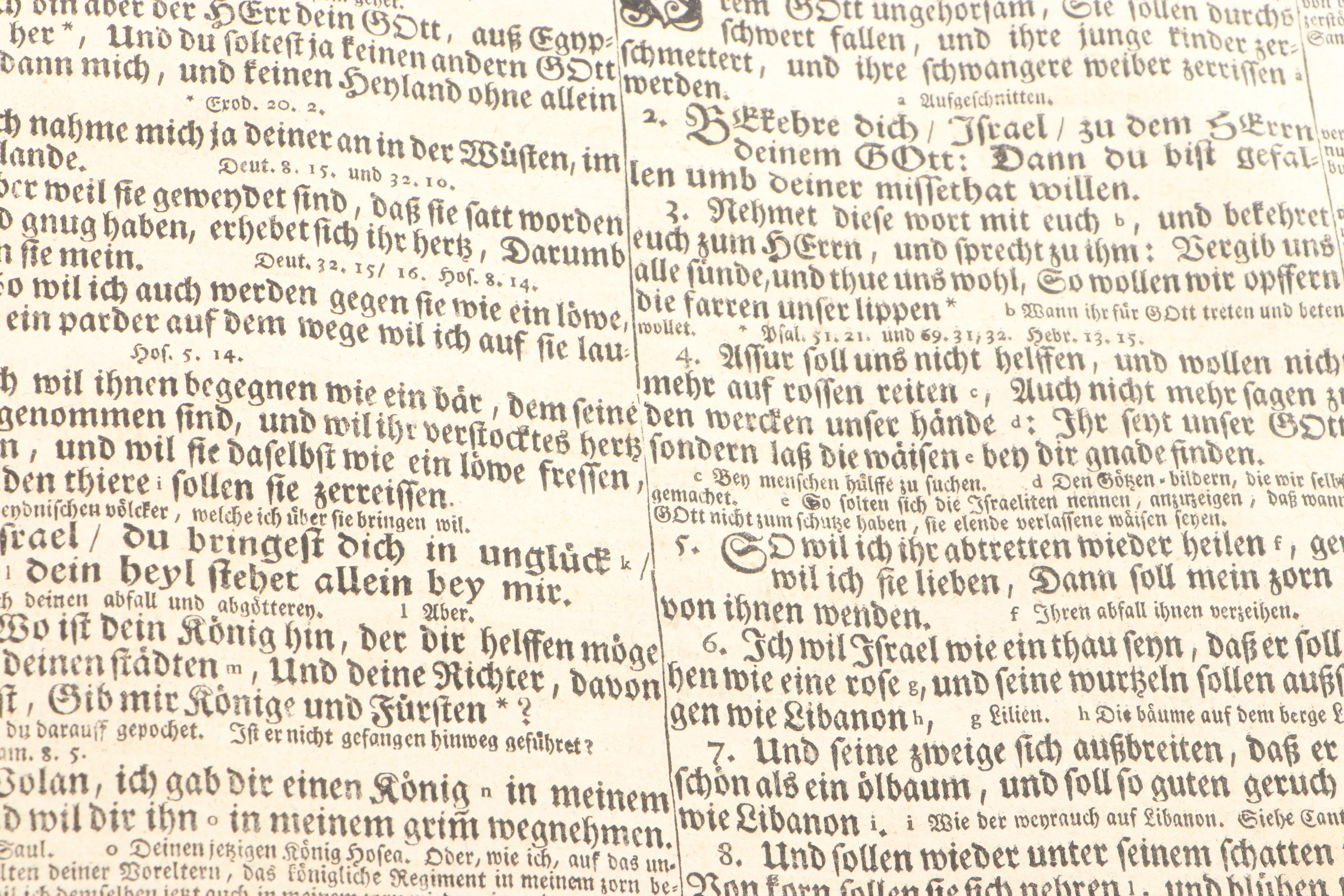 German Language Martin Luther Bible, circa 1720