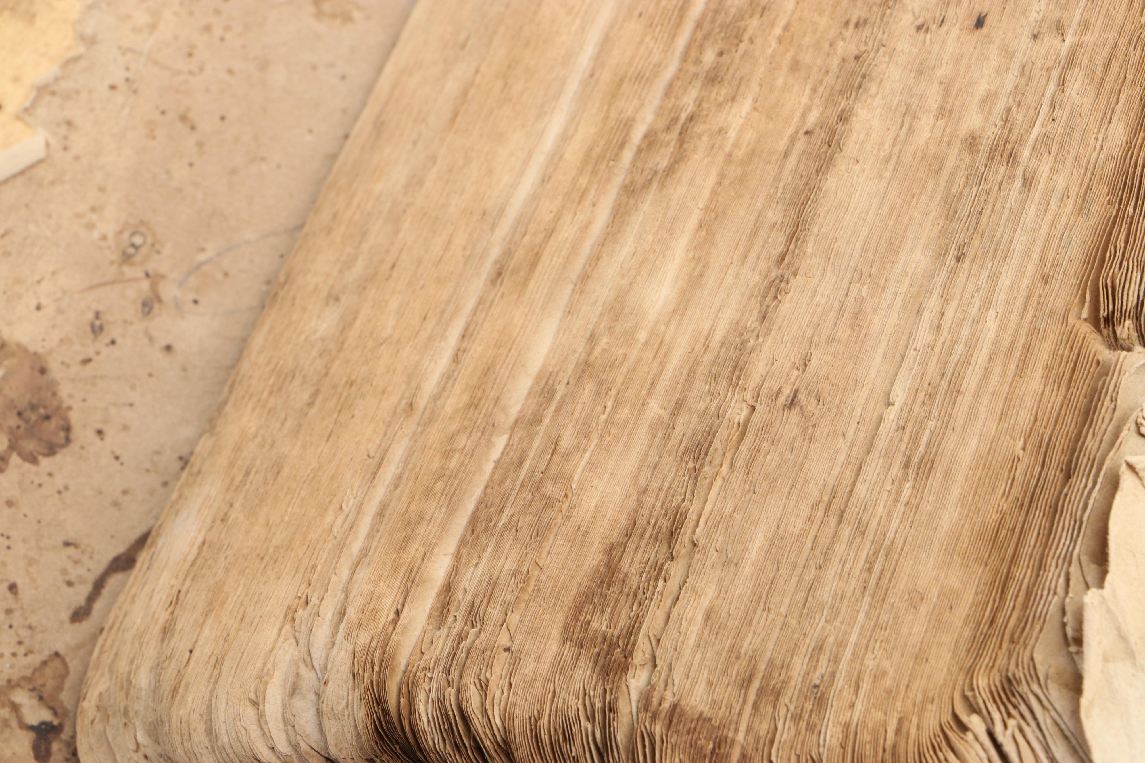 German Language Martin Luther Bible, circa 1720