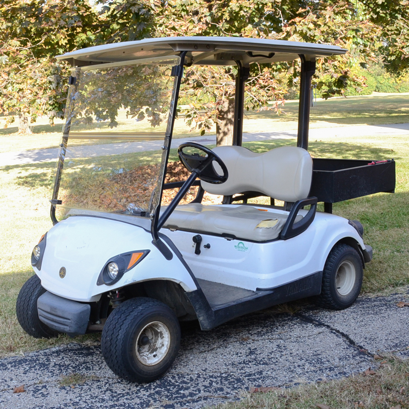 Yamaha Two Seat Golf Cart