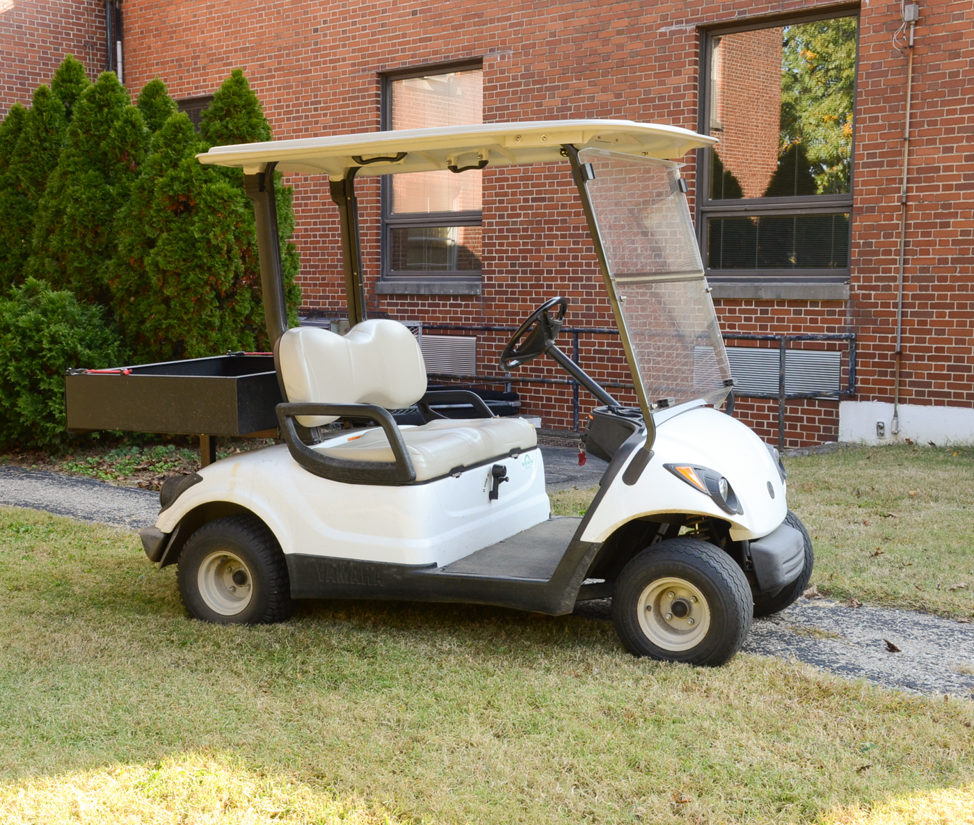 Yamaha Two Seat Golf Cart