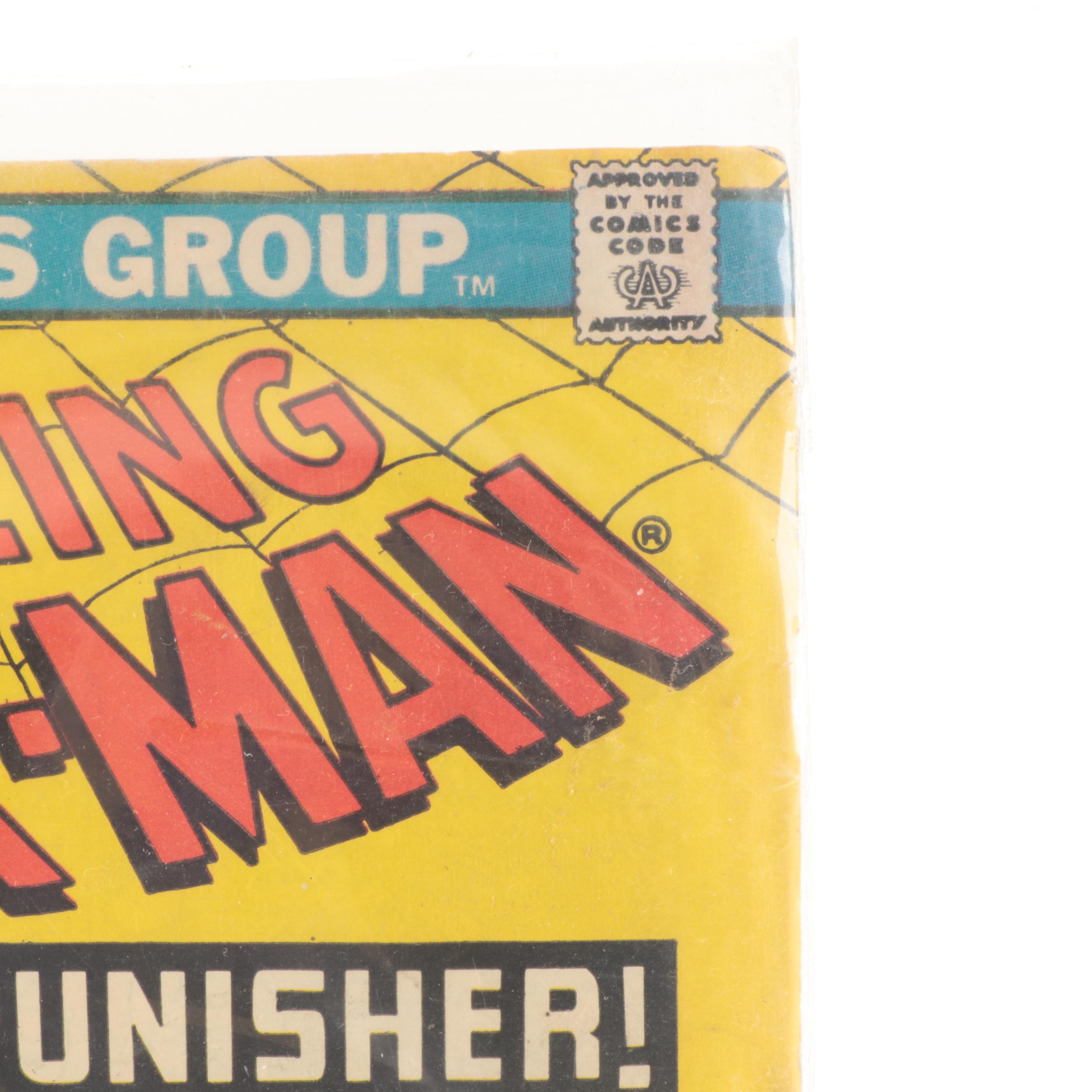 Bronze Age Marvel The Amazing Spider-Man 1st Appearance of The Punisher Comic