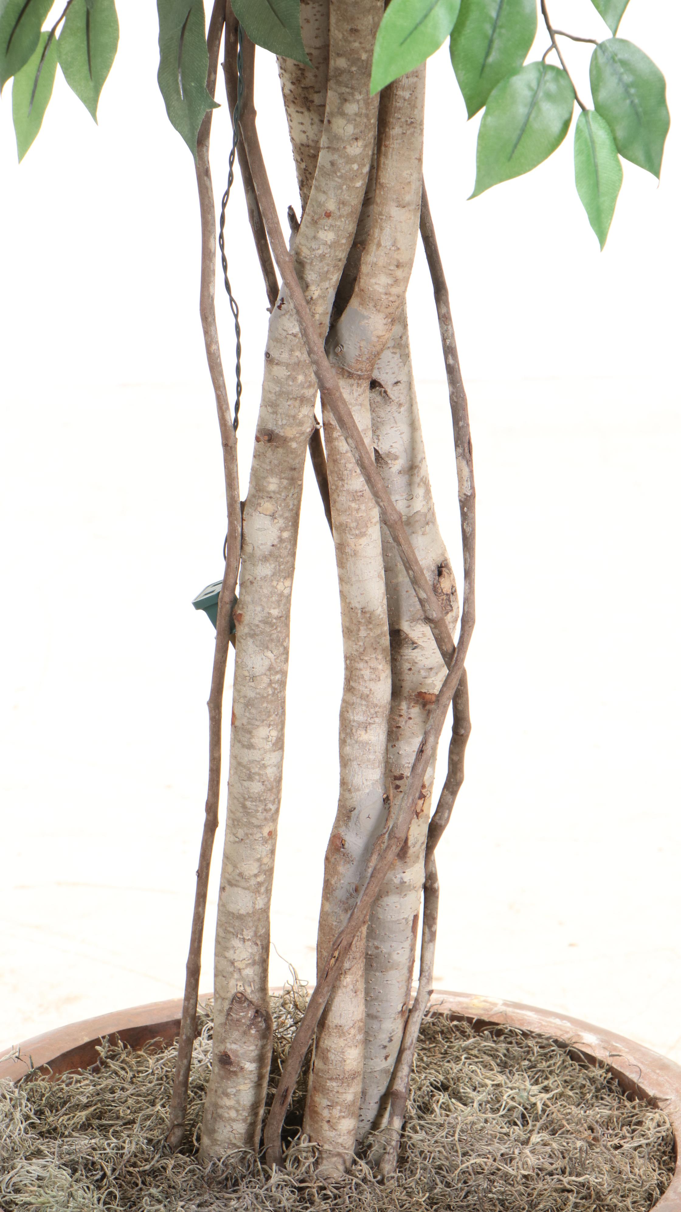 Artificial 7' Pre-Lit Ficus Tree