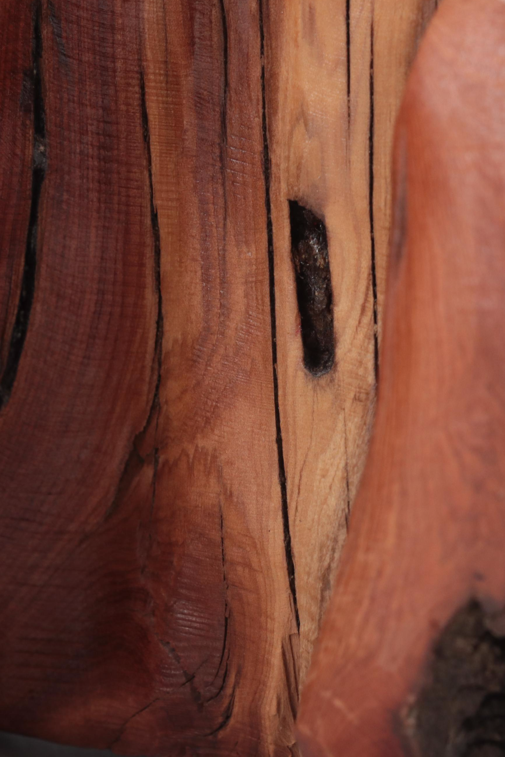 Stu Martin "Red Horse" Carved Wood Sculpture, 2003