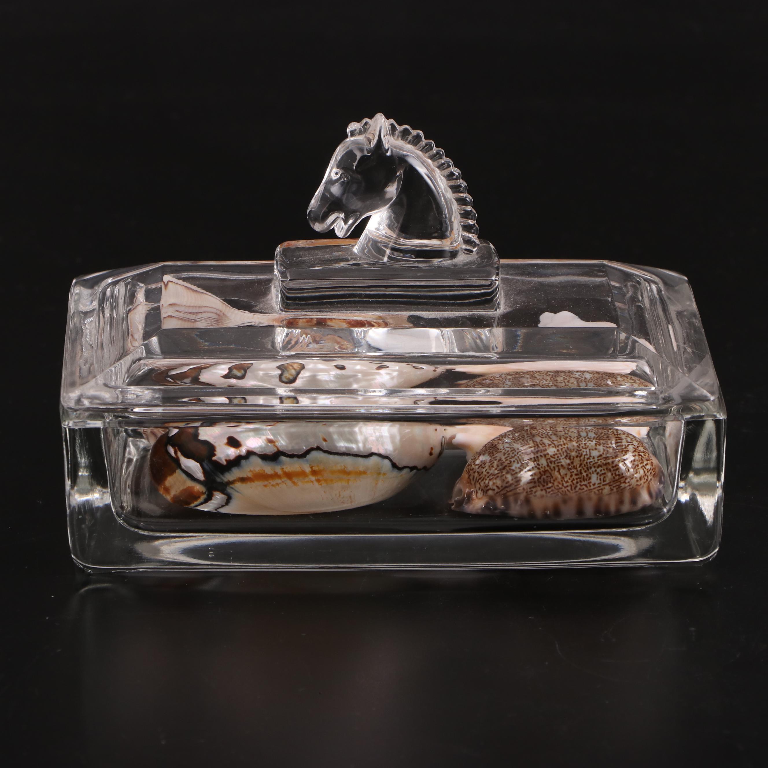 Murano Glass Bud Vase with Other Glass Trinket Box and Assortment of Seashells