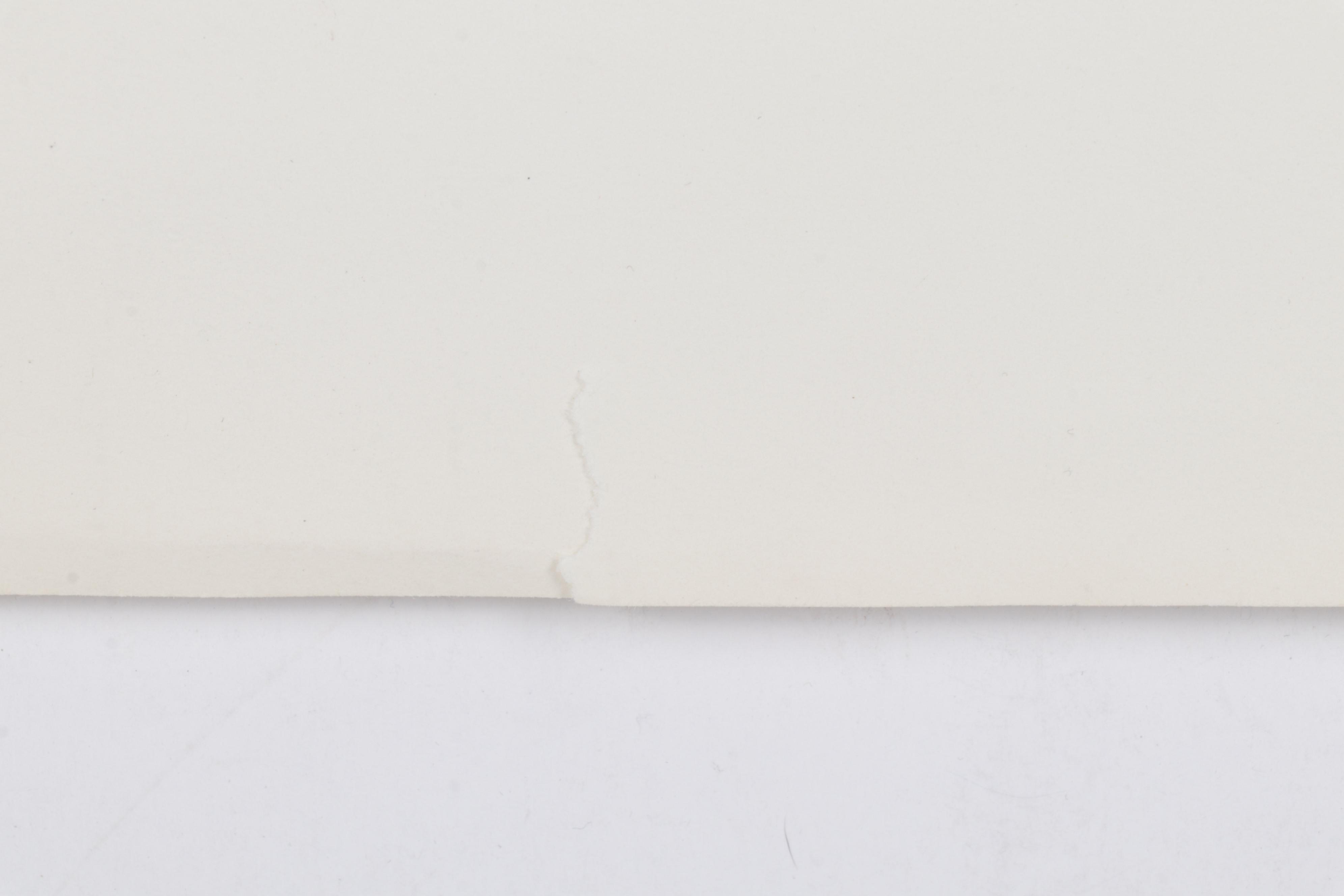 Sidney Chafetz Etching and Lithograph "Apt Quote," 1974