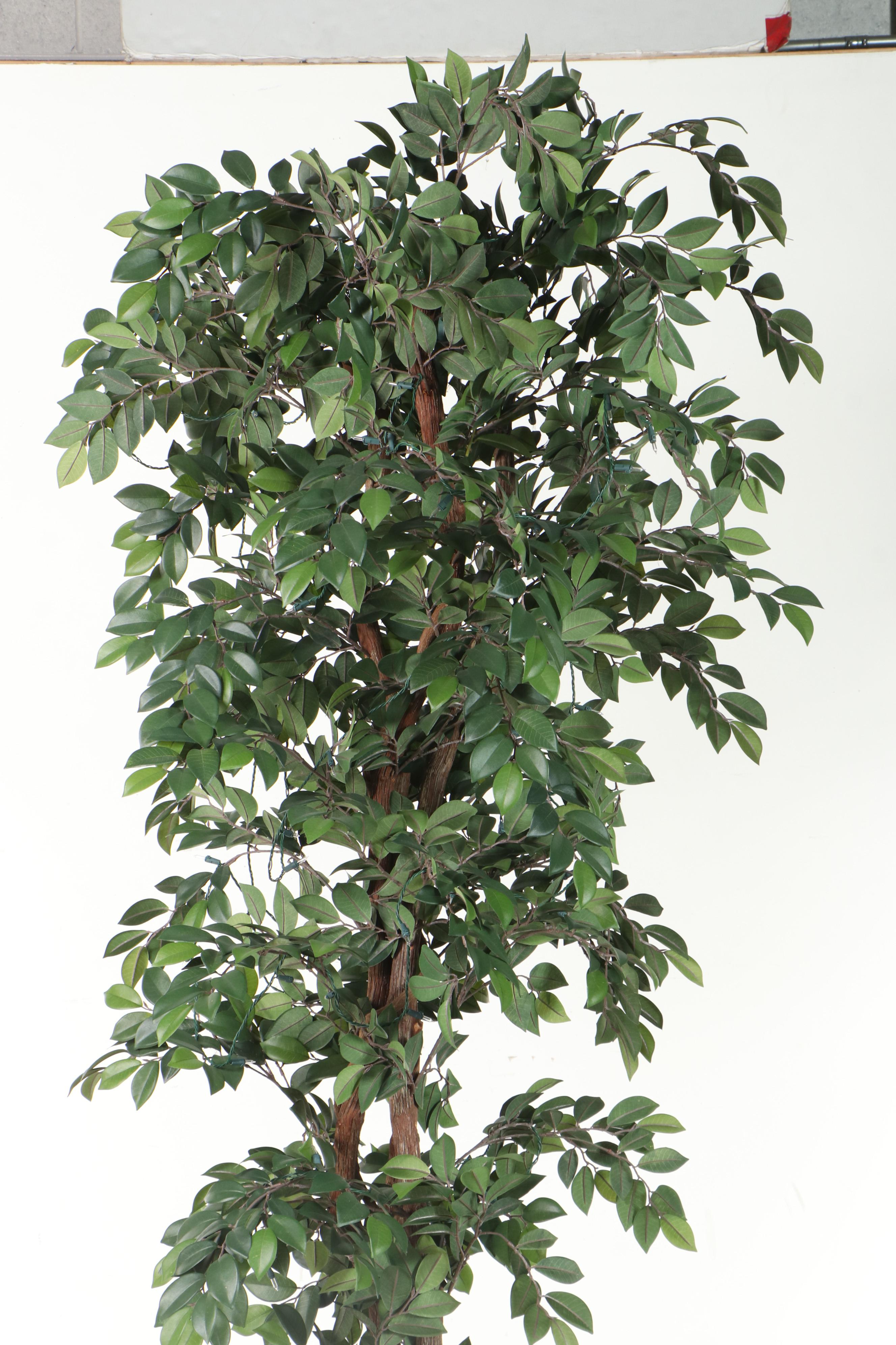 Artificial Pre-Lit 7' Ficus Tree in Hammered Metal Planter