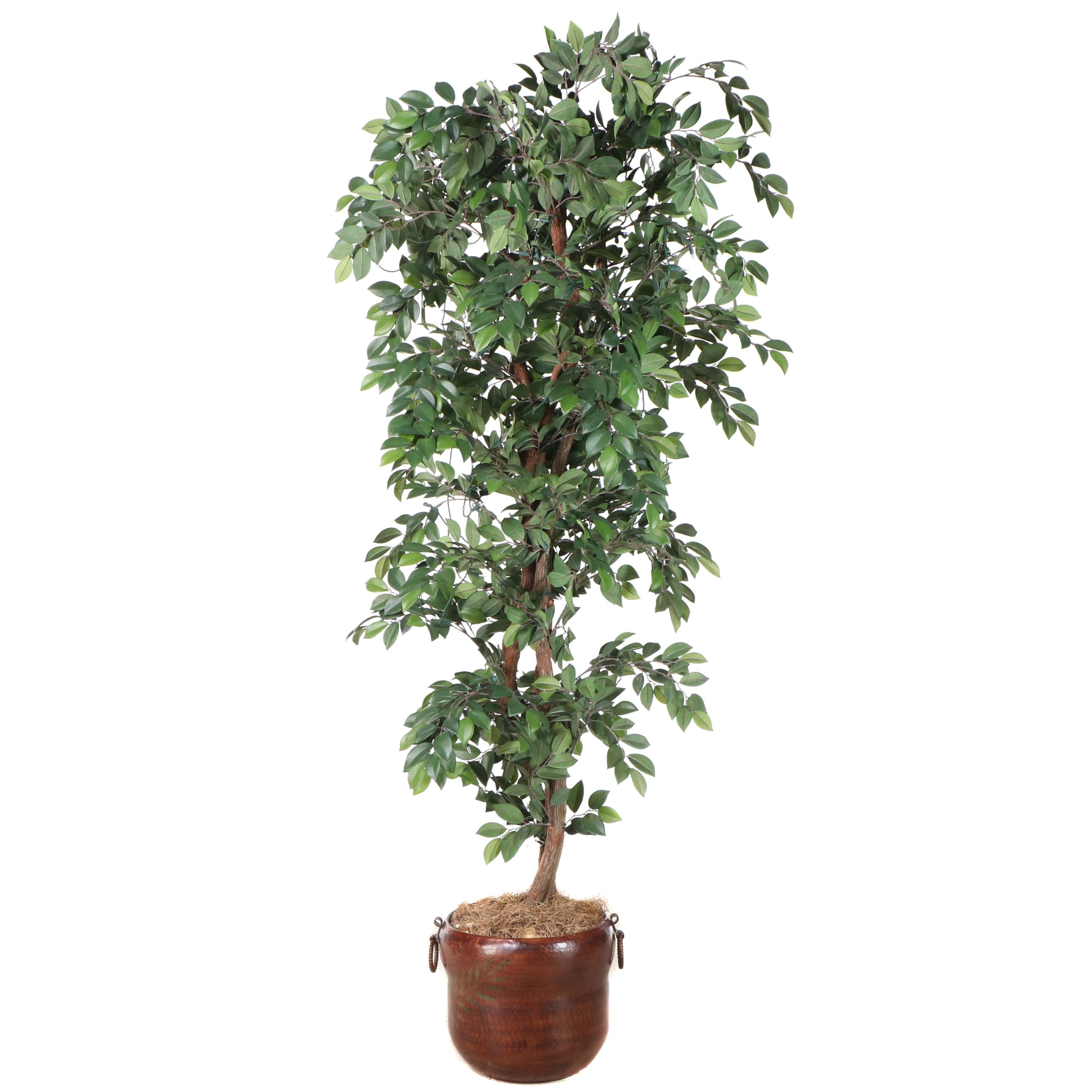 Artificial Pre-Lit 7' Ficus Tree in Hammered Metal Planter