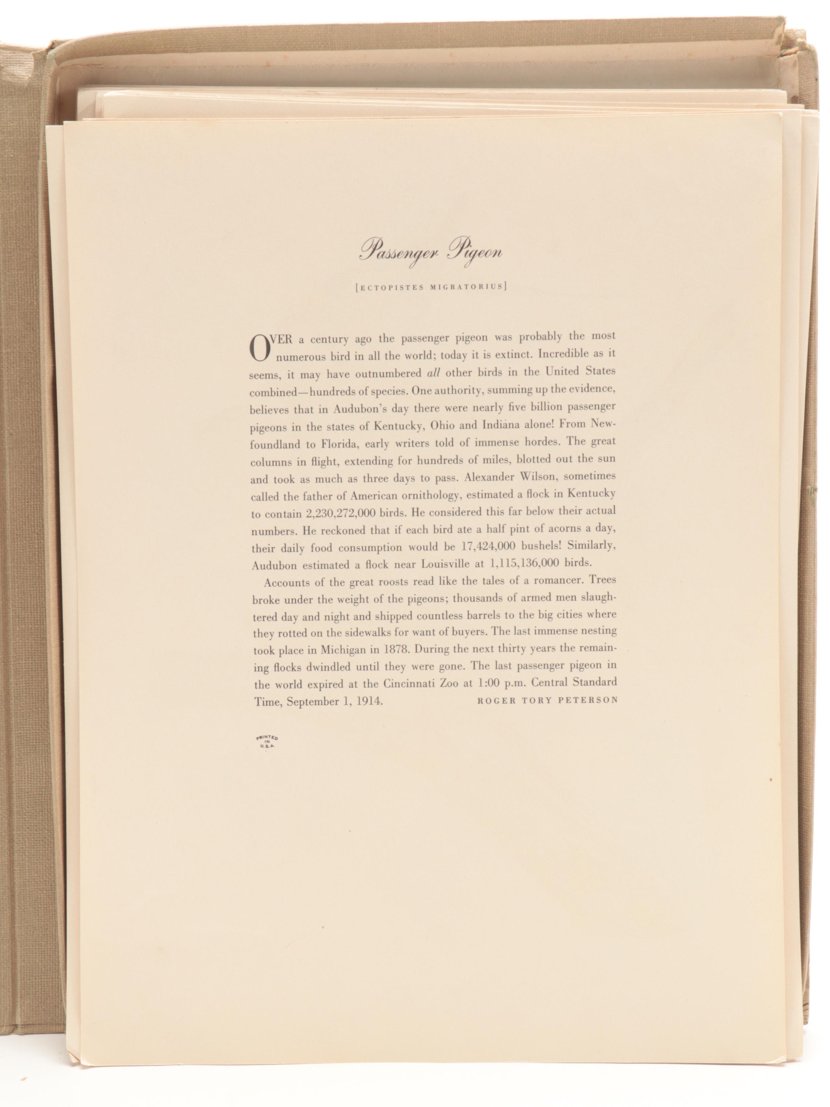 Reproduction Prints After J.J. Audubon's "The Birds of America"