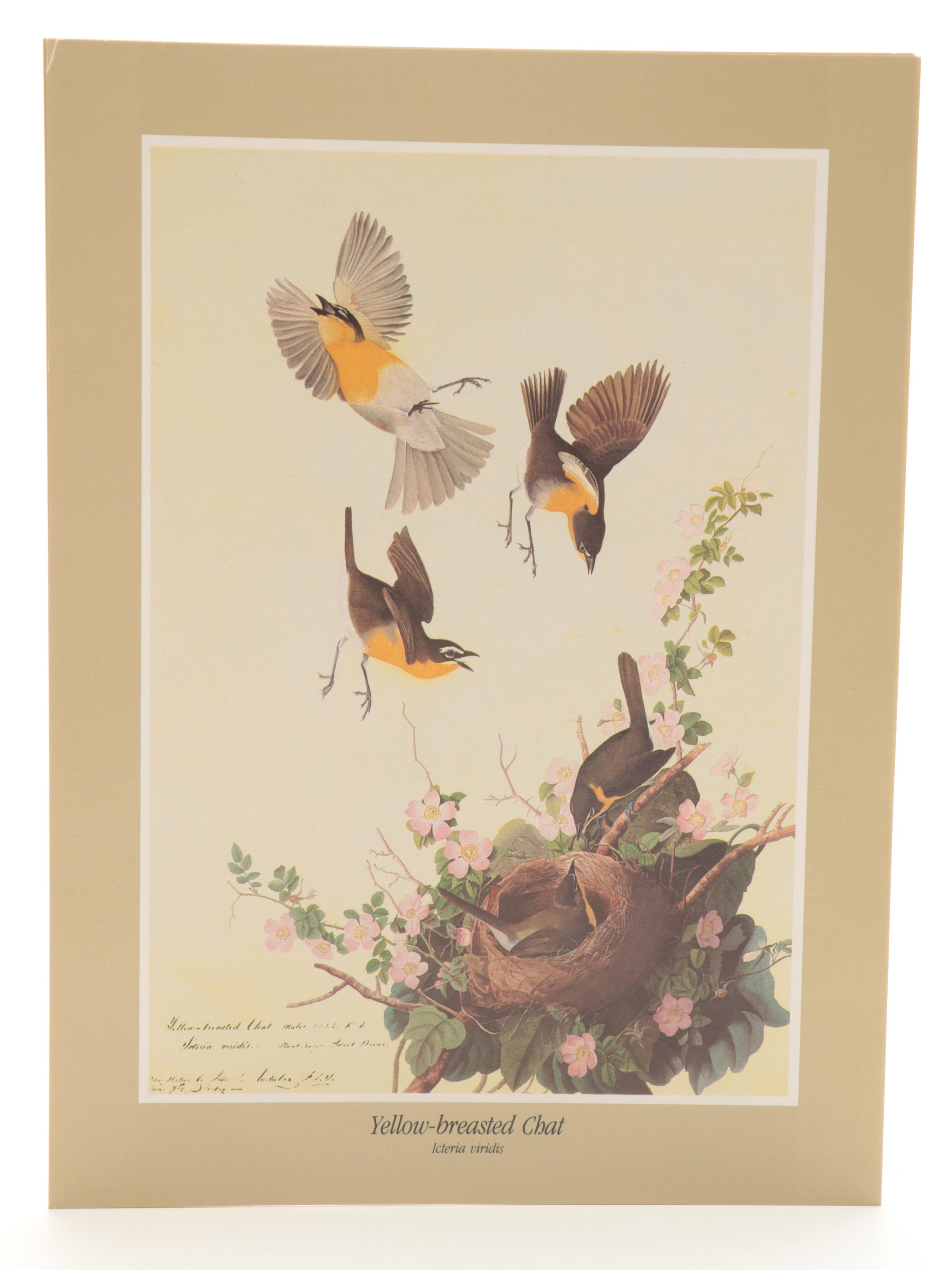 Reproduction Prints After J.J. Audubon's "The Birds of America"