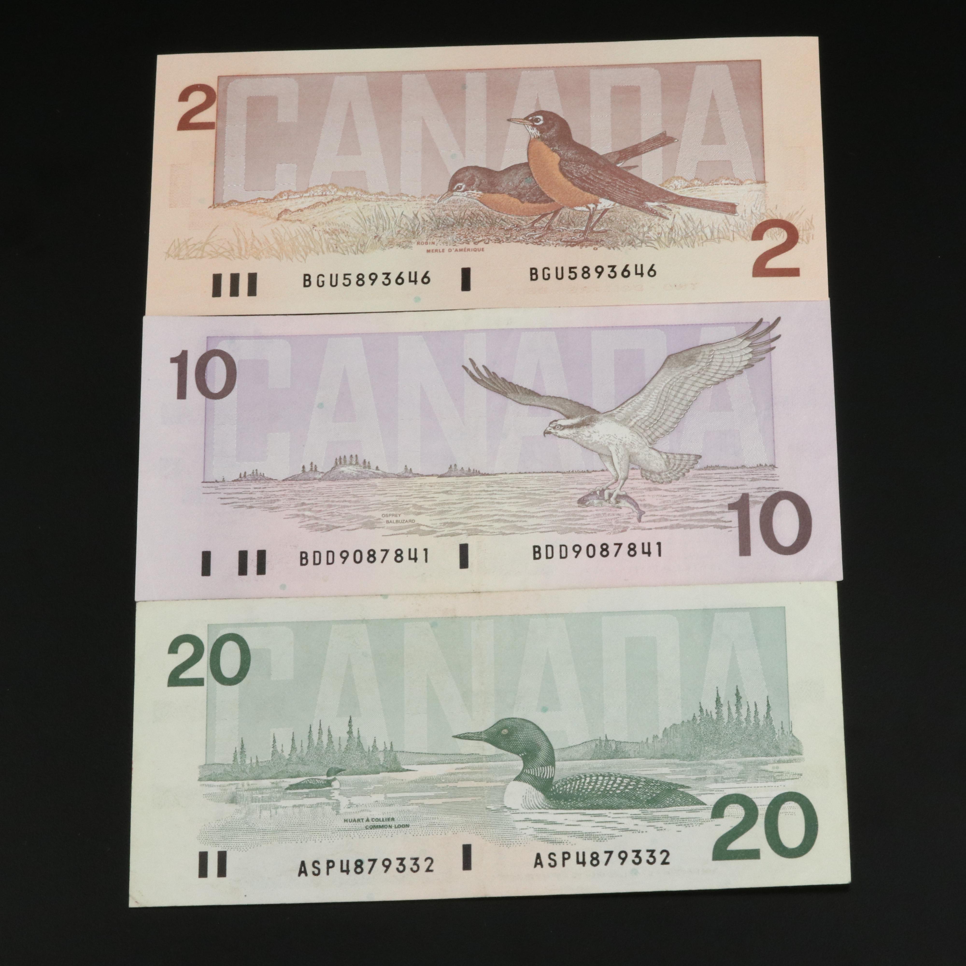 Group of Twelve Modern Canadian Currency Notes