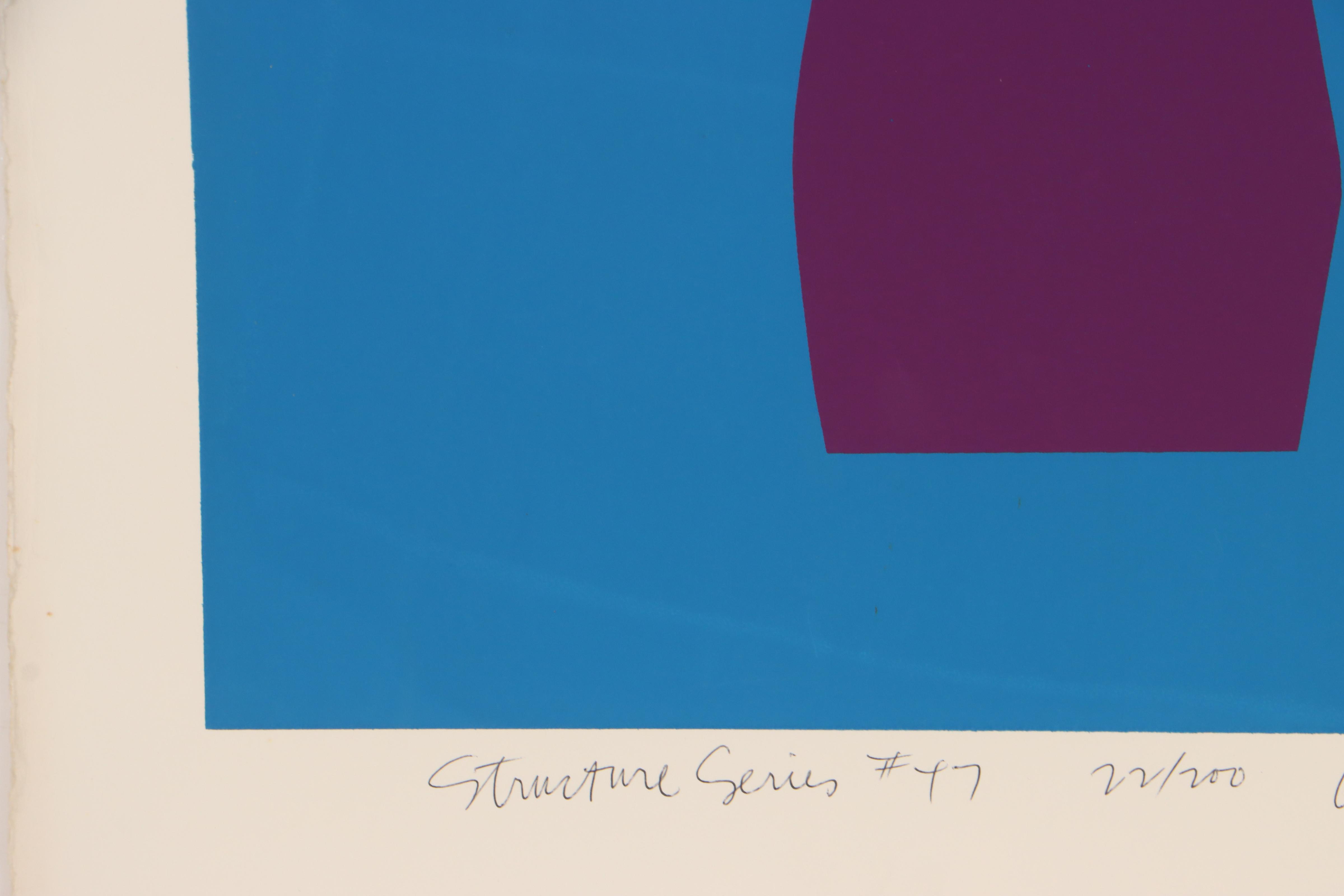 Harry Hilson Abstract Biomorphic Serigraph From "Structure Series," 1973