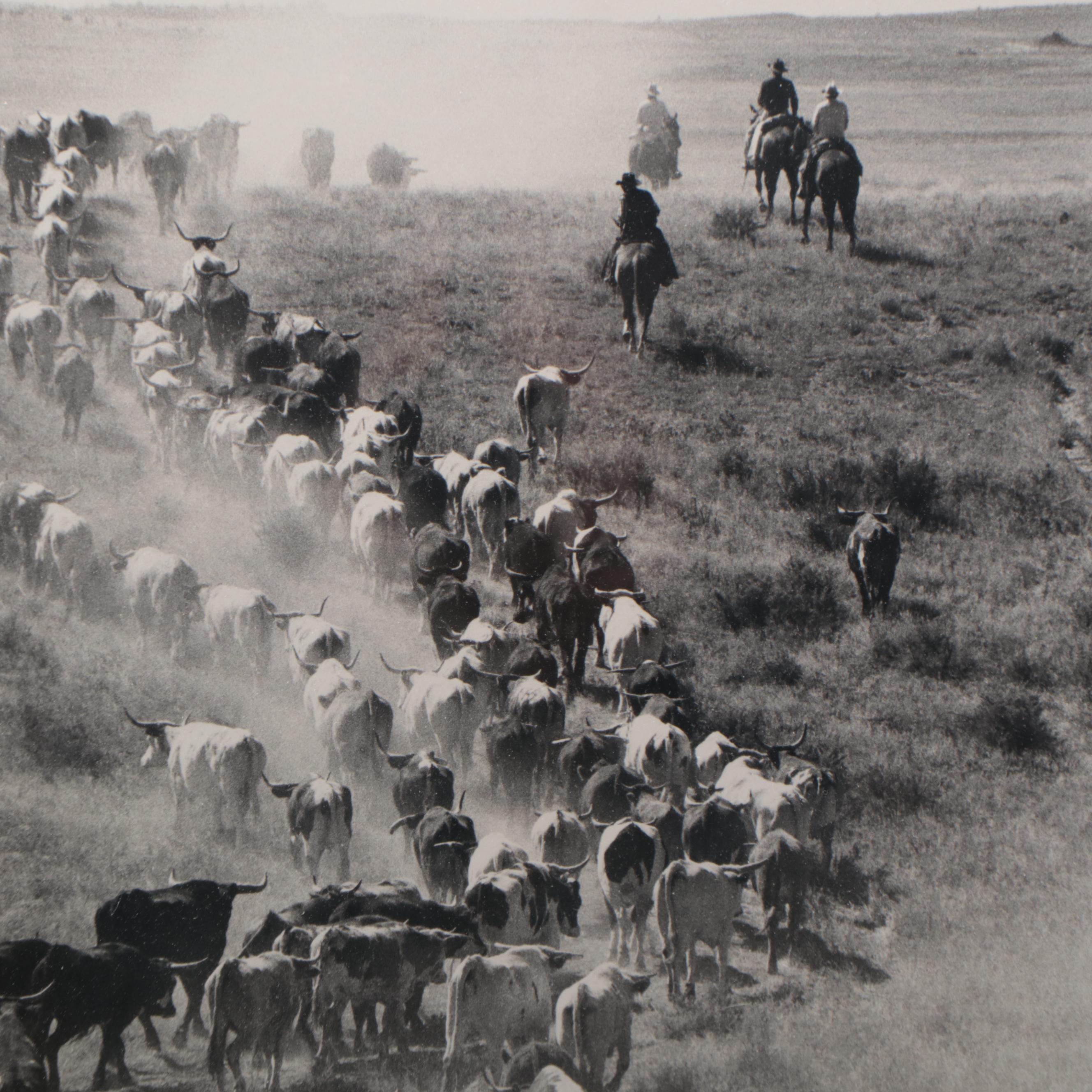 Barbara Van Cleve Silver Print "A Little Dusty," 1989