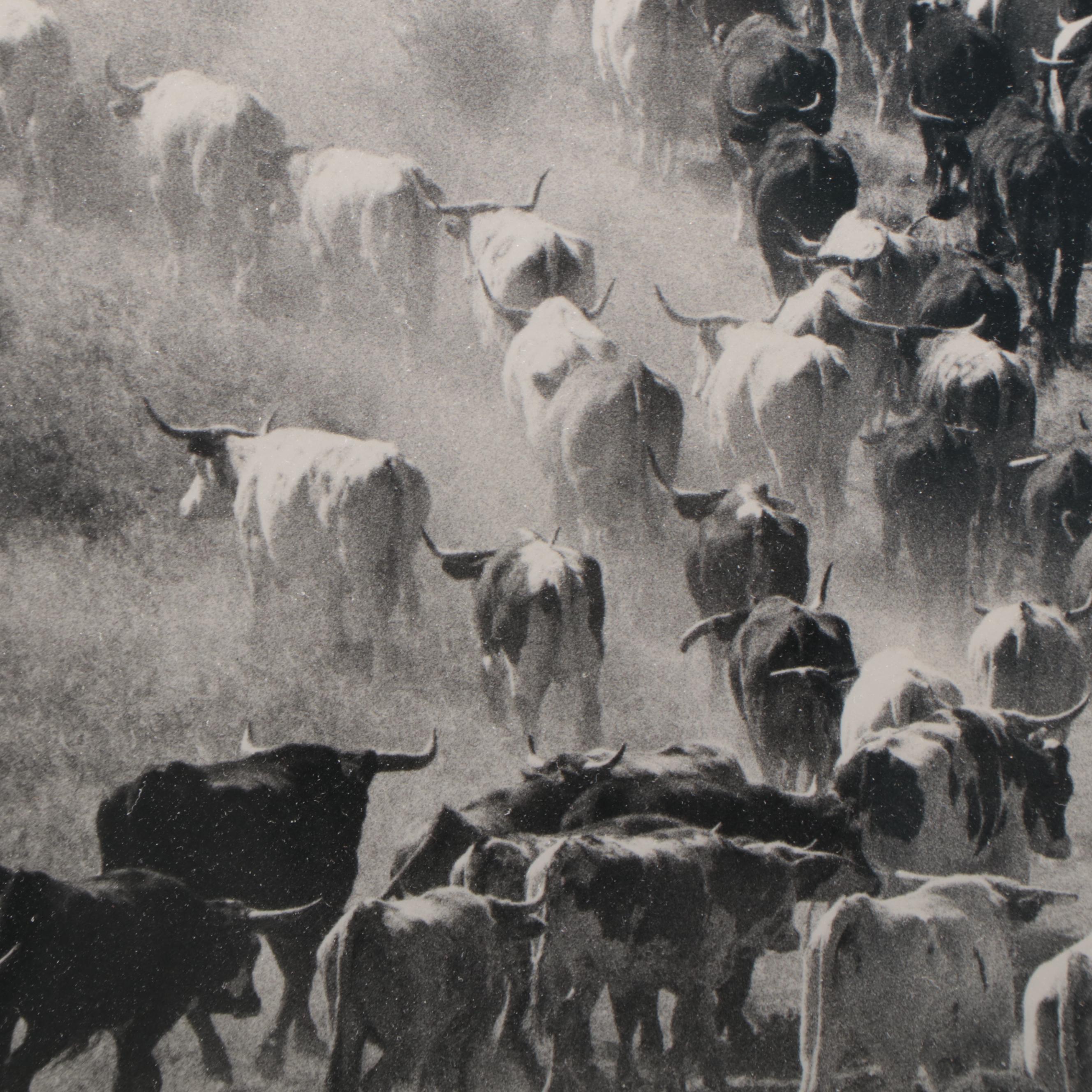 Barbara Van Cleve Silver Print "A Little Dusty," 1989