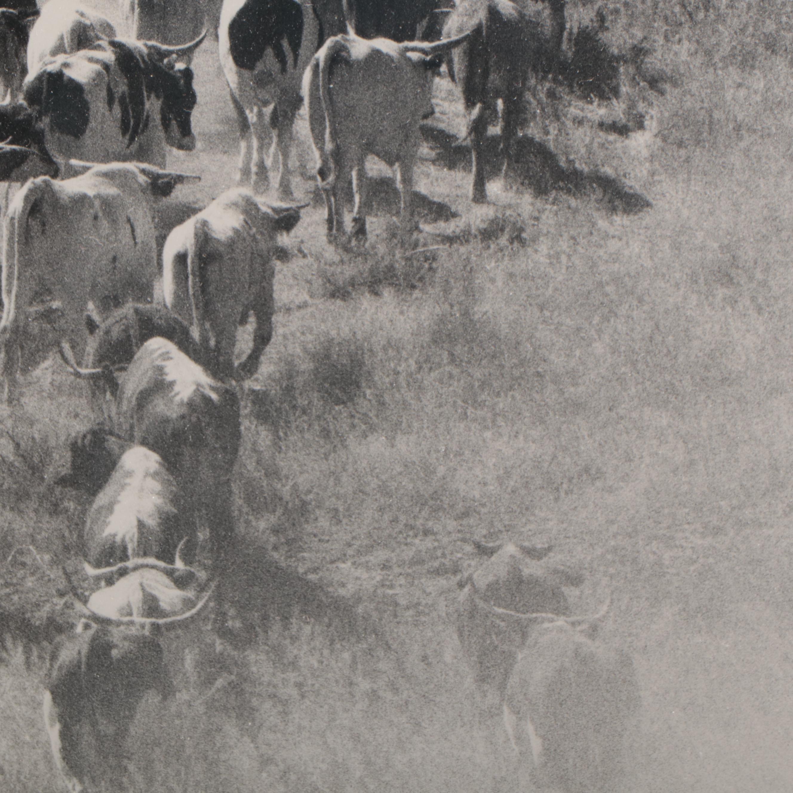 Barbara Van Cleve Silver Print "A Little Dusty," 1989