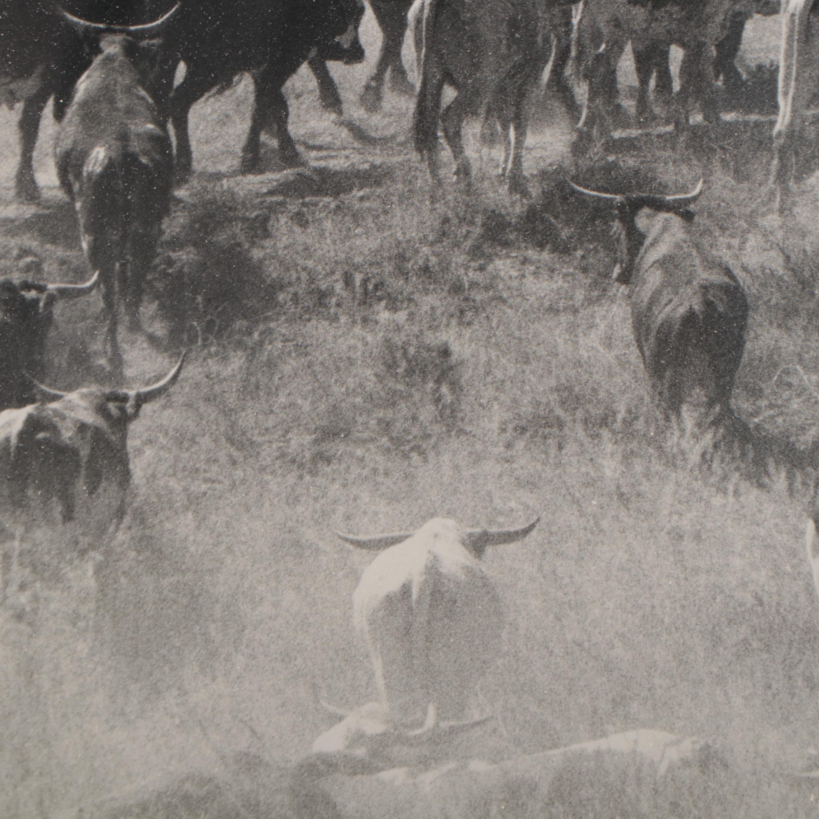 Barbara Van Cleve Silver Print "A Little Dusty," 1989