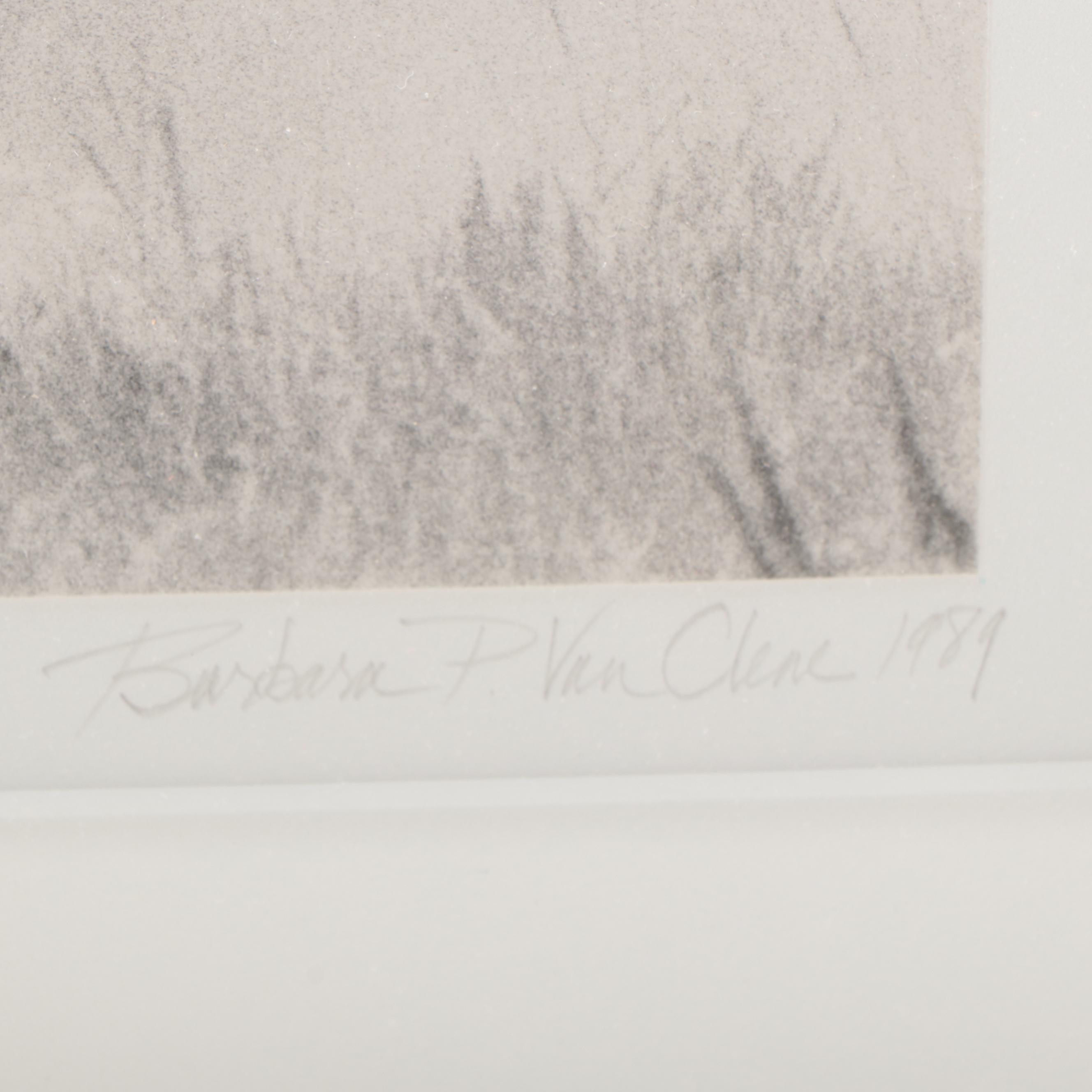 Barbara Van Cleve Silver Print "A Little Dusty," 1989