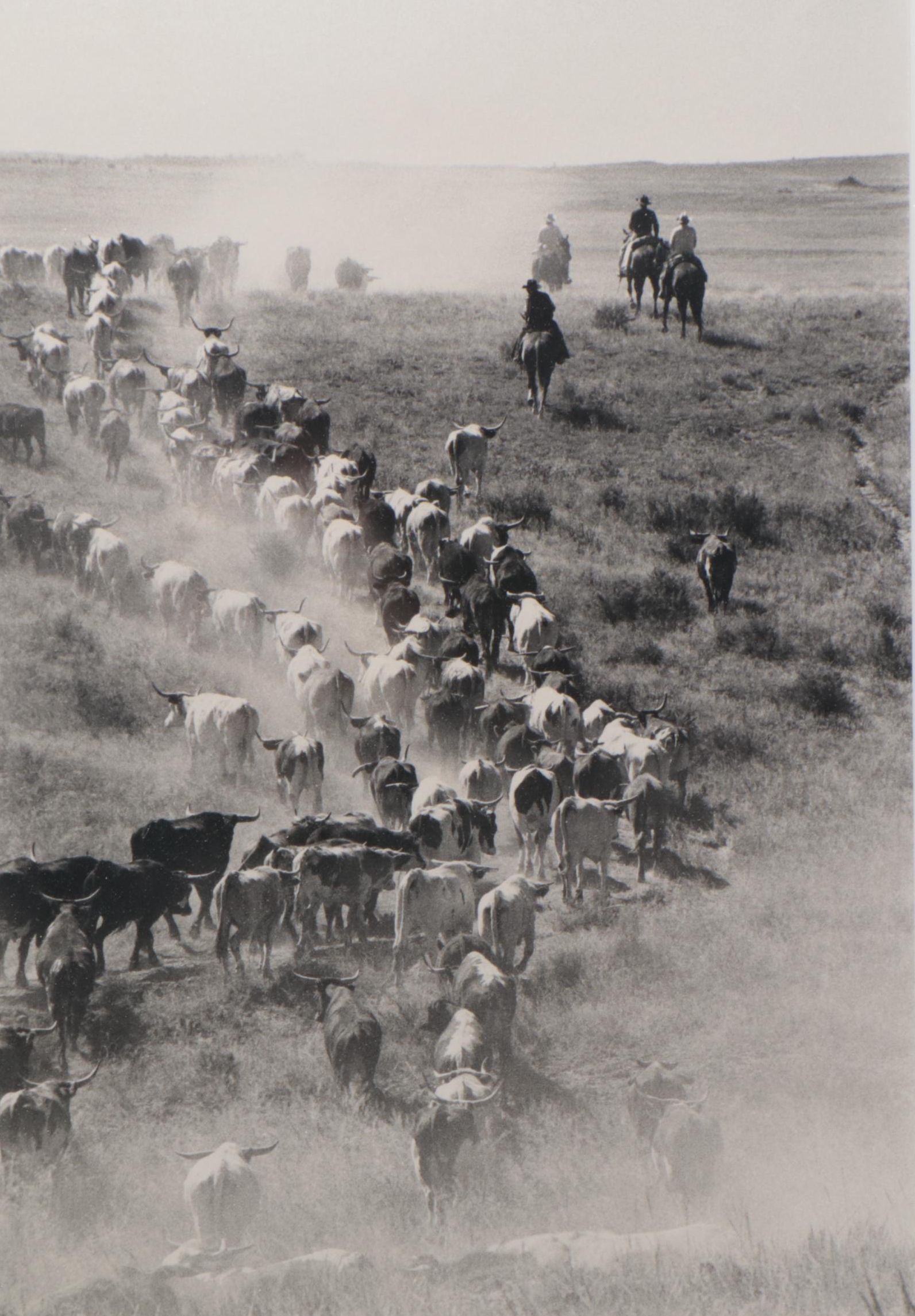 Barbara Van Cleve Silver Print "A Little Dusty," 1989