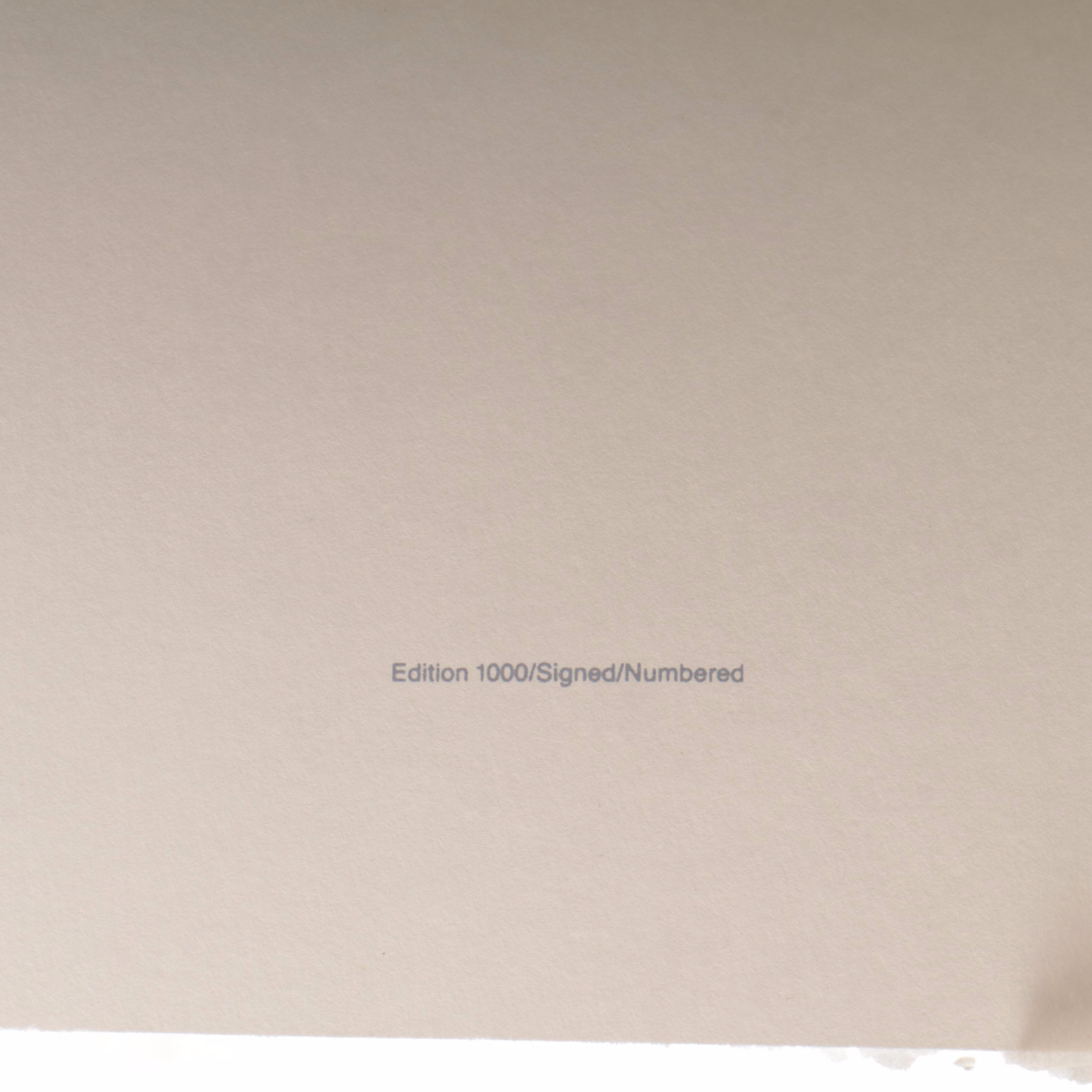 Charley Harper Serigraph "Brrrdbath," 1986