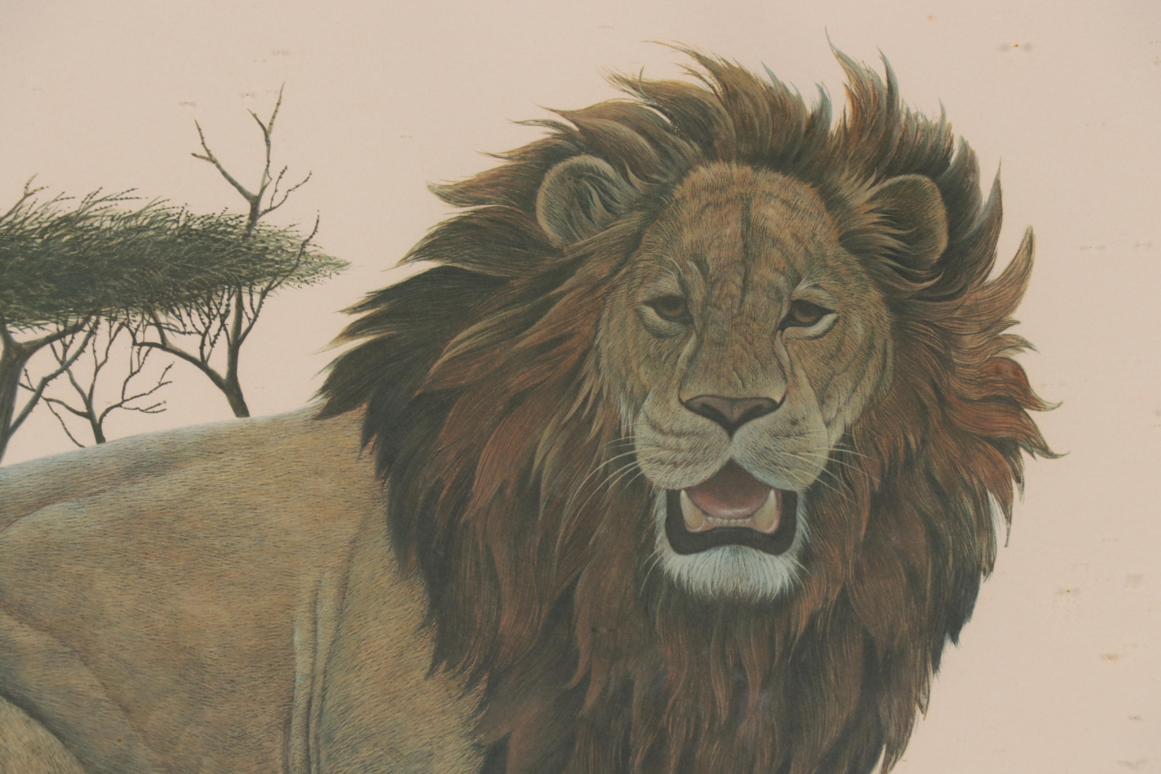 John Ruthven Offset Lithograph "Black Maned Lion"