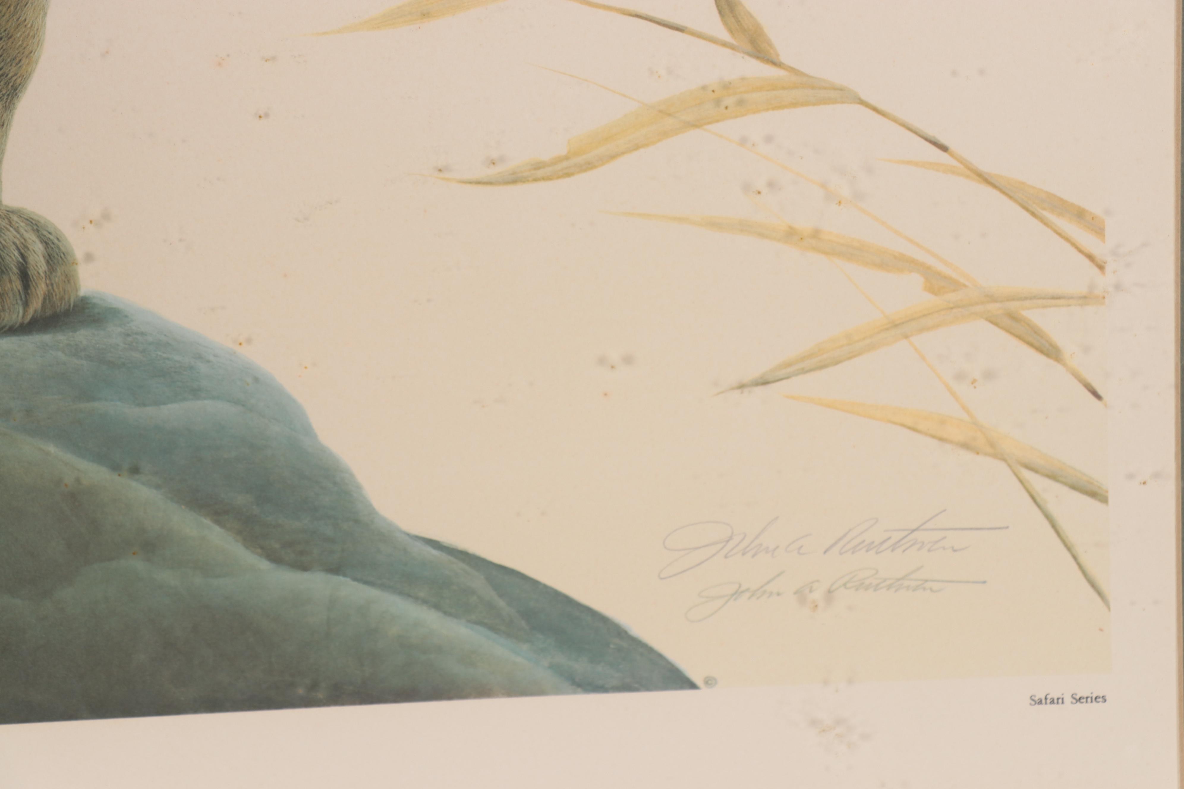 John Ruthven Offset Lithograph "Black Maned Lion"