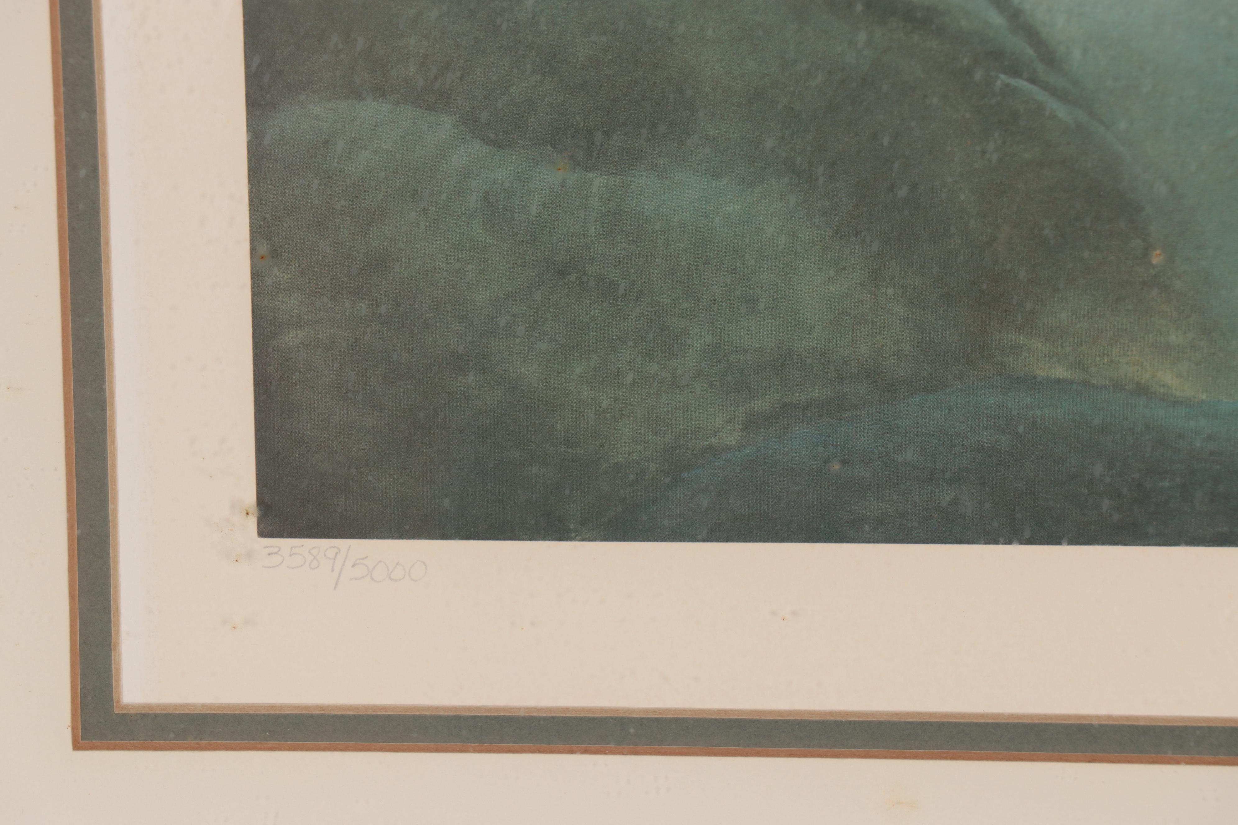 John Ruthven Offset Lithograph "Black Maned Lion"