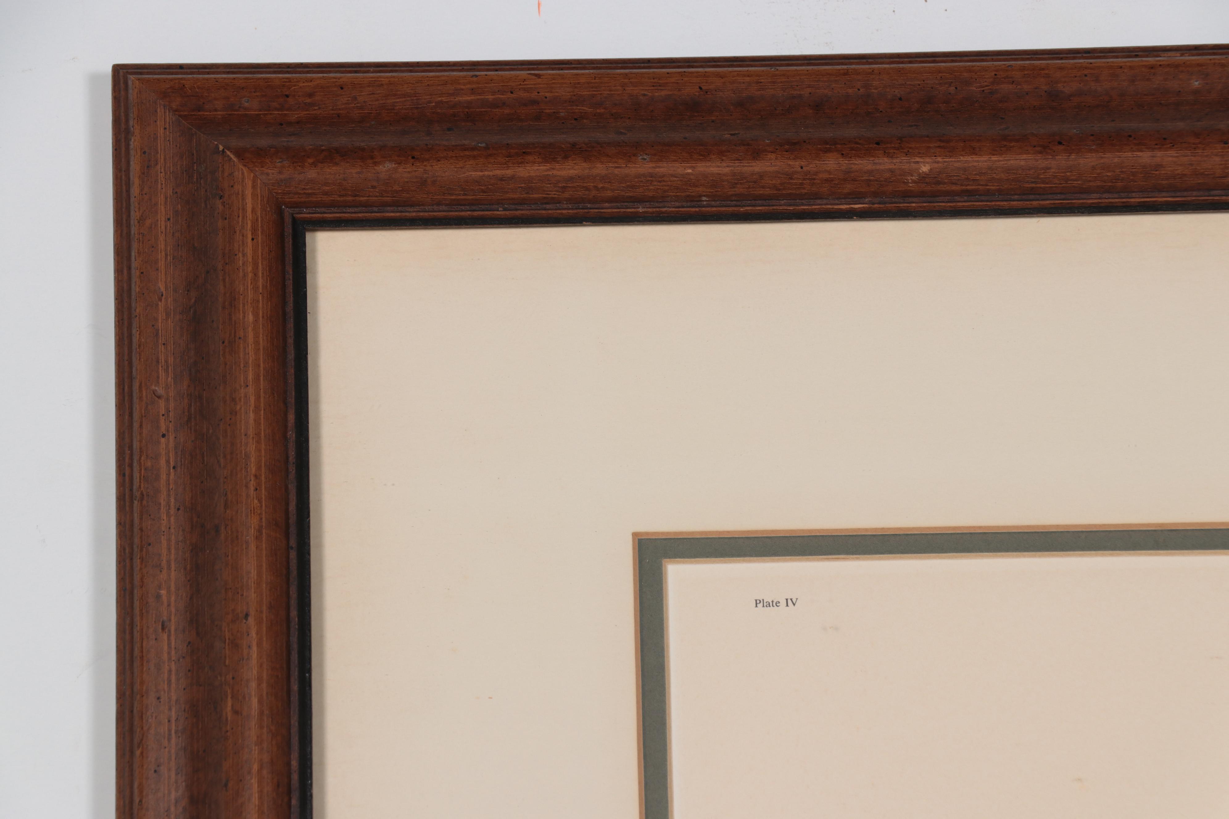 John Ruthven Offset Lithograph "Black Maned Lion"