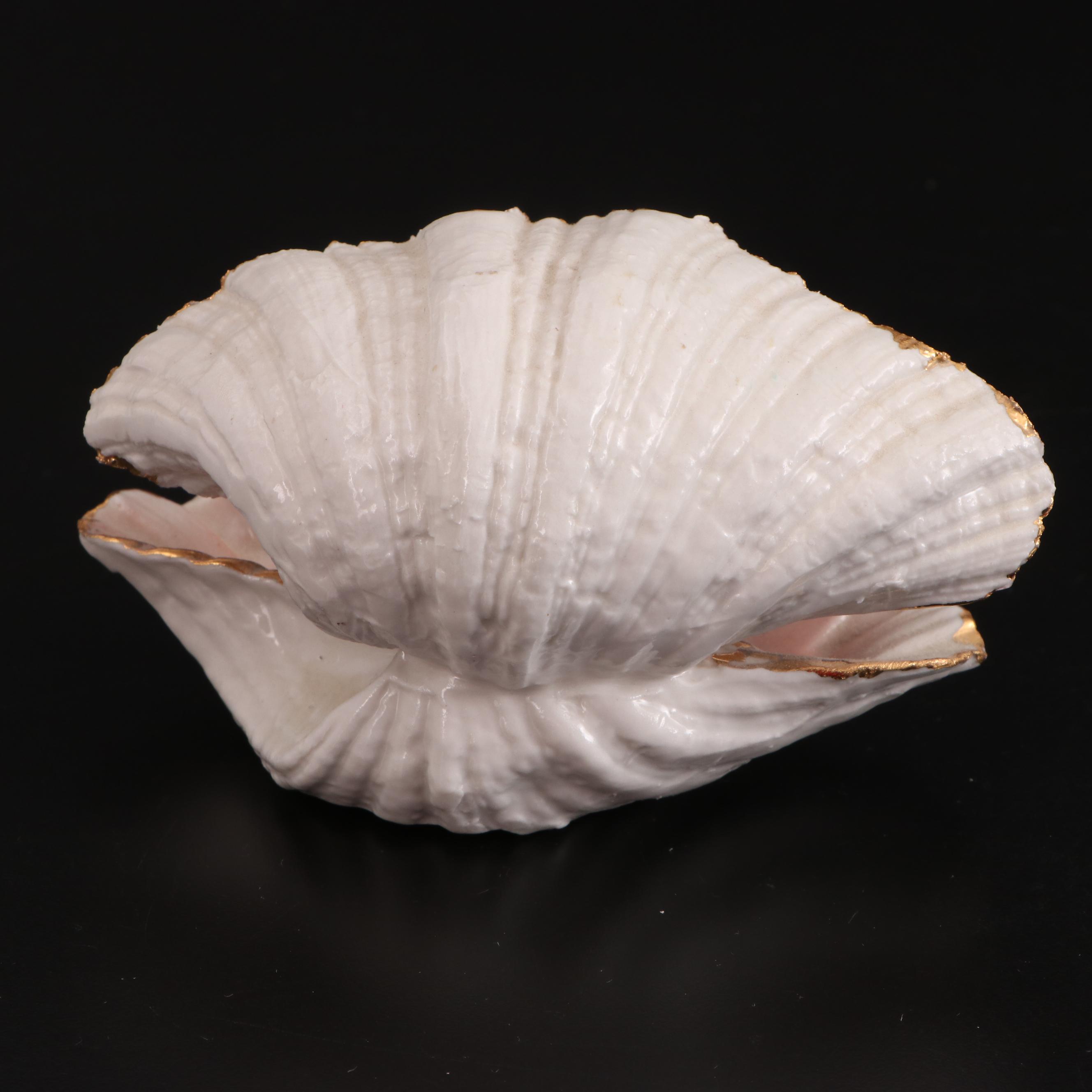 Clear Glass Vases with Sea Urchins and Other Seashells