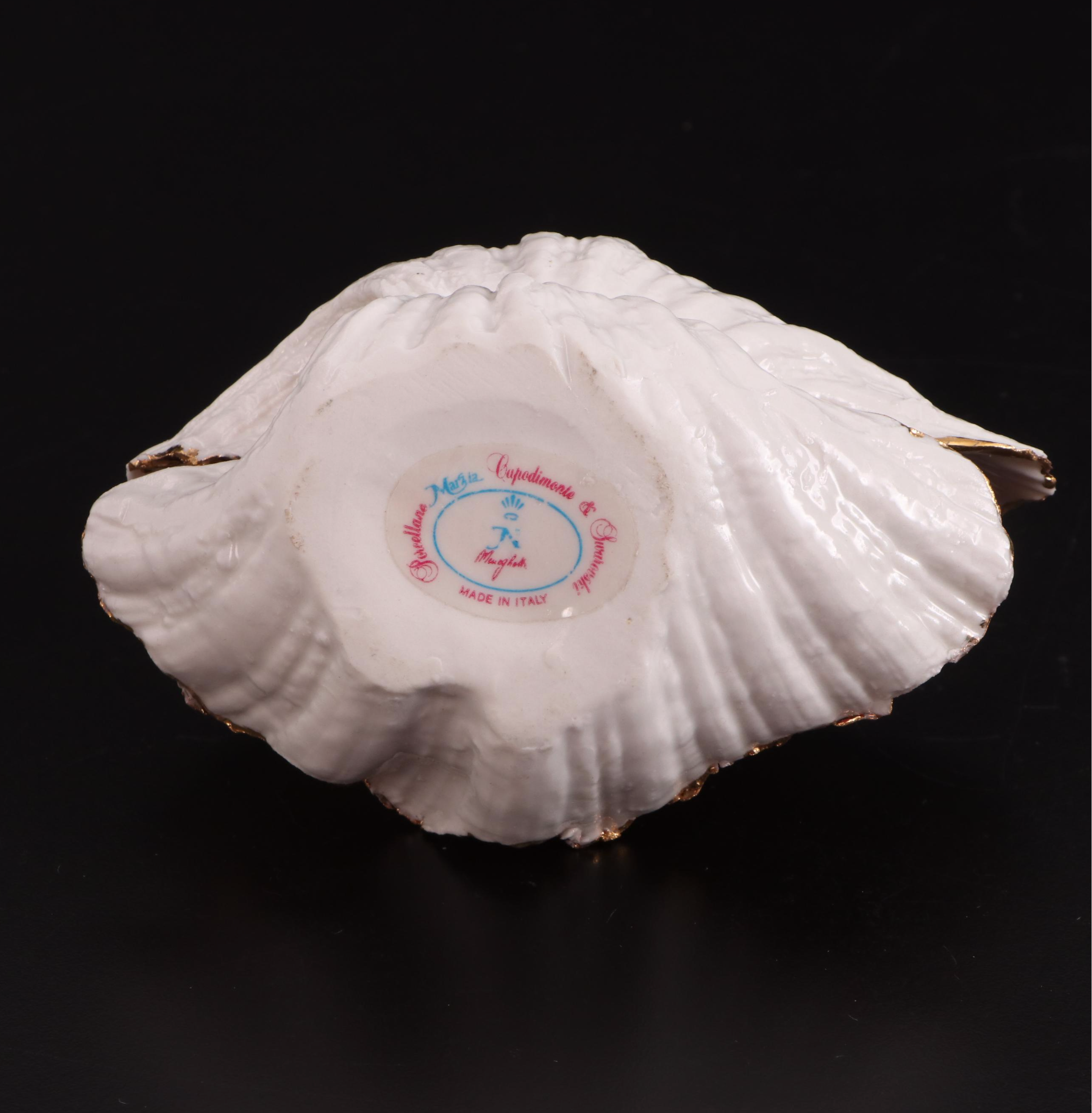 Clear Glass Vases with Sea Urchins and Other Seashells