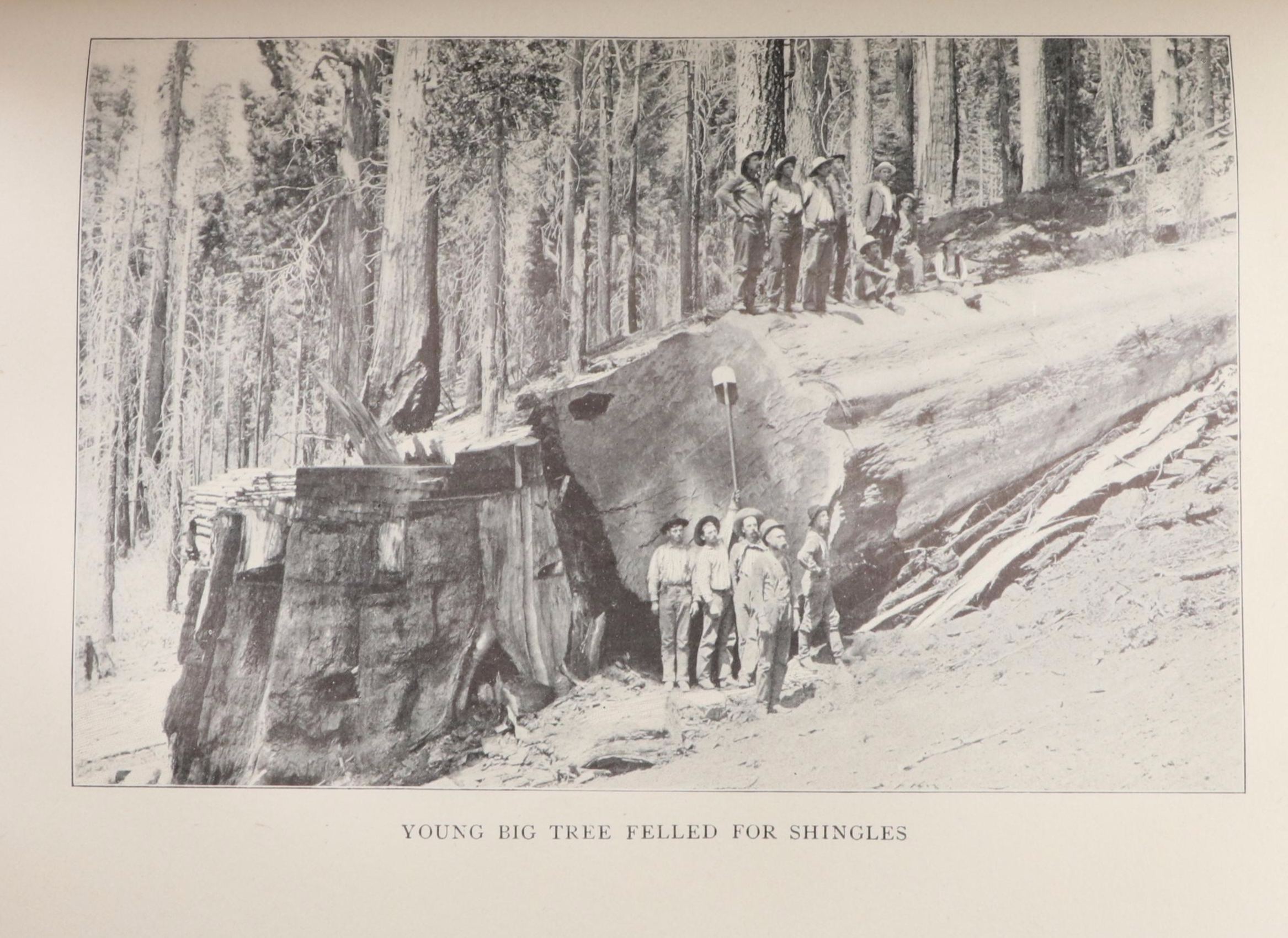 First Edition "Our National Parks" by John Muir, 1901