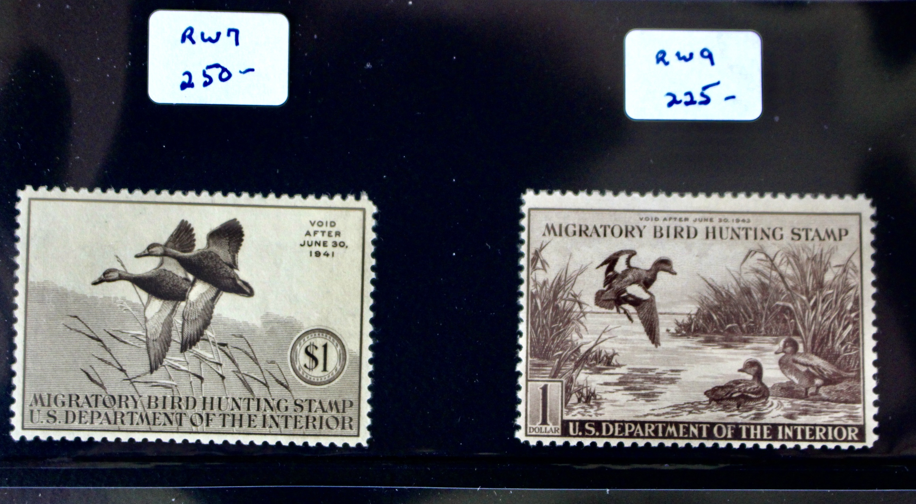 U.S. Duck Stamp Collection