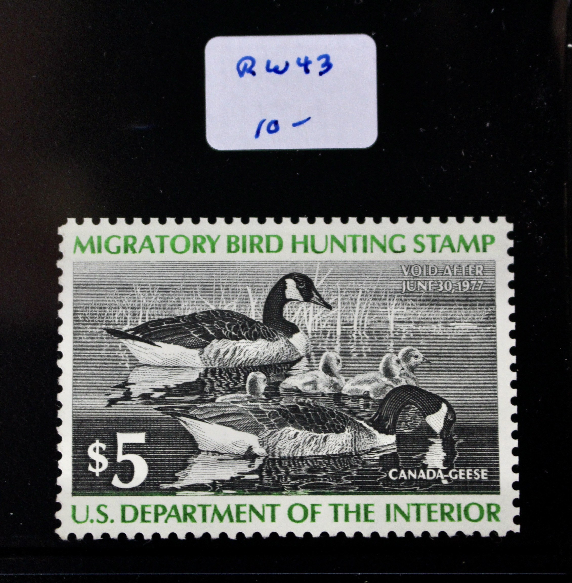 U.S. Duck Stamp Collection
