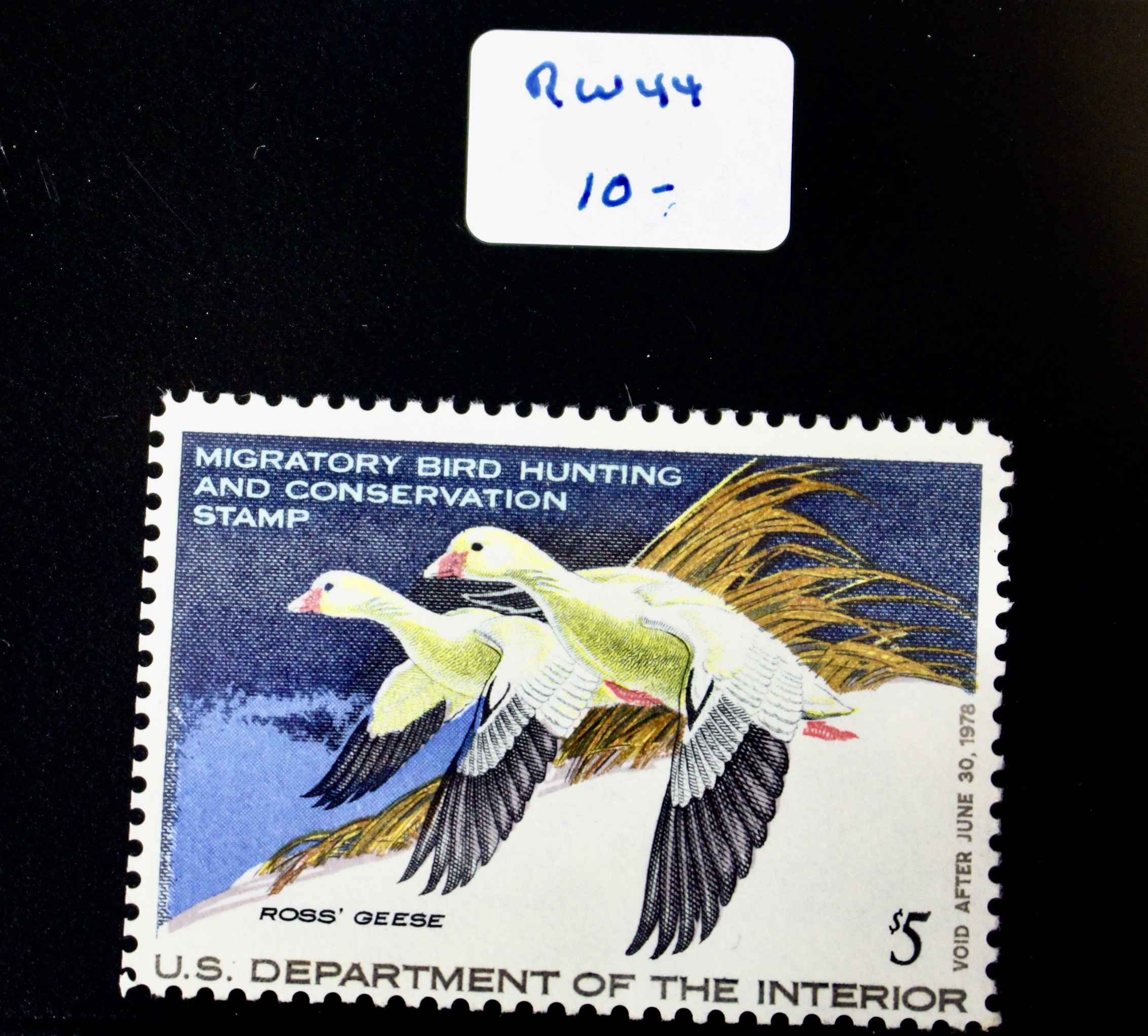 U.S. Duck Stamp Collection