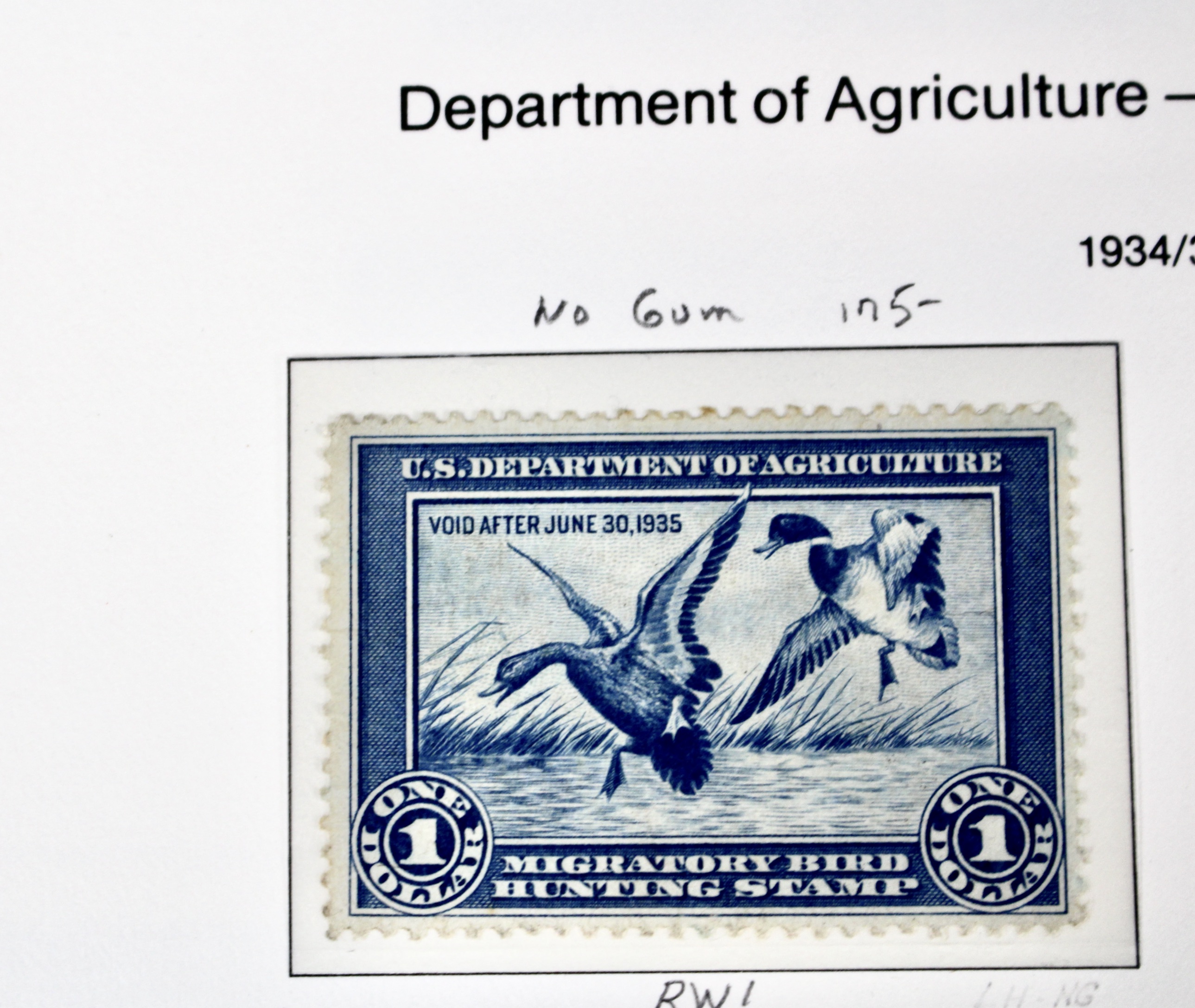 U.S. Duck Stamp Collection Including RW#s 1-6